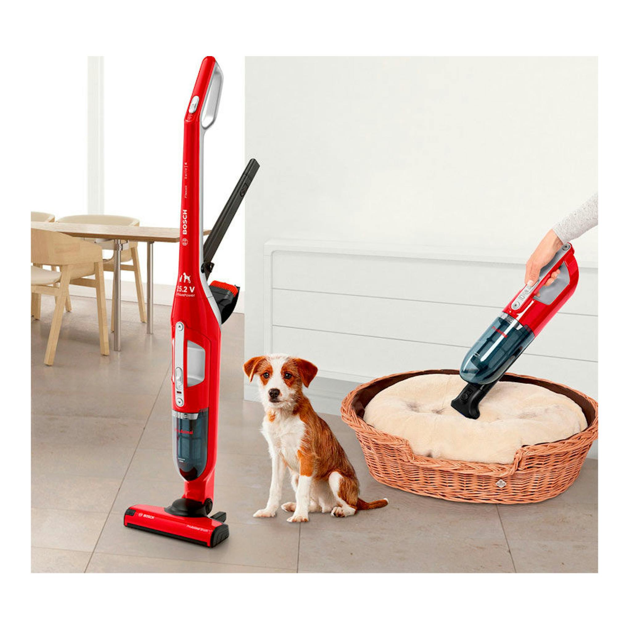 Aspirador escoba Bosch BBH3ZOO25 rojo, vista frontal, junto a un perro y una cama para mascotas.