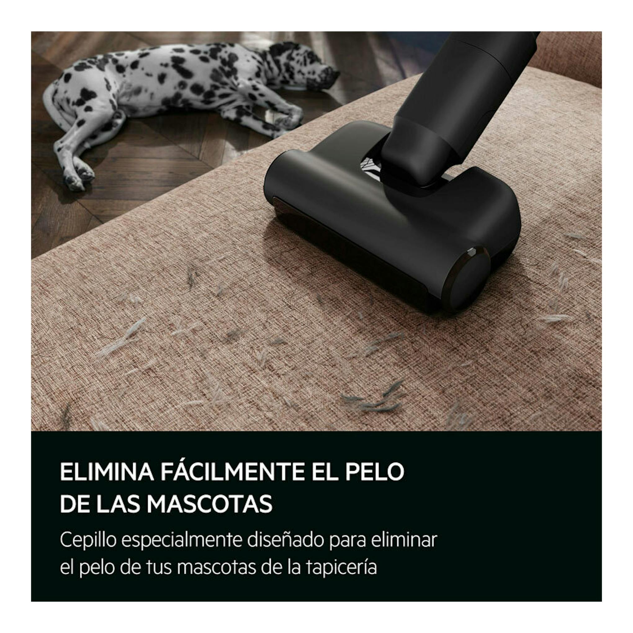 AEG Animal 8000 AP83AB25DG, cepillo negro de aspiradora sobre tapicería con pelo de mascota y perro al fondo.