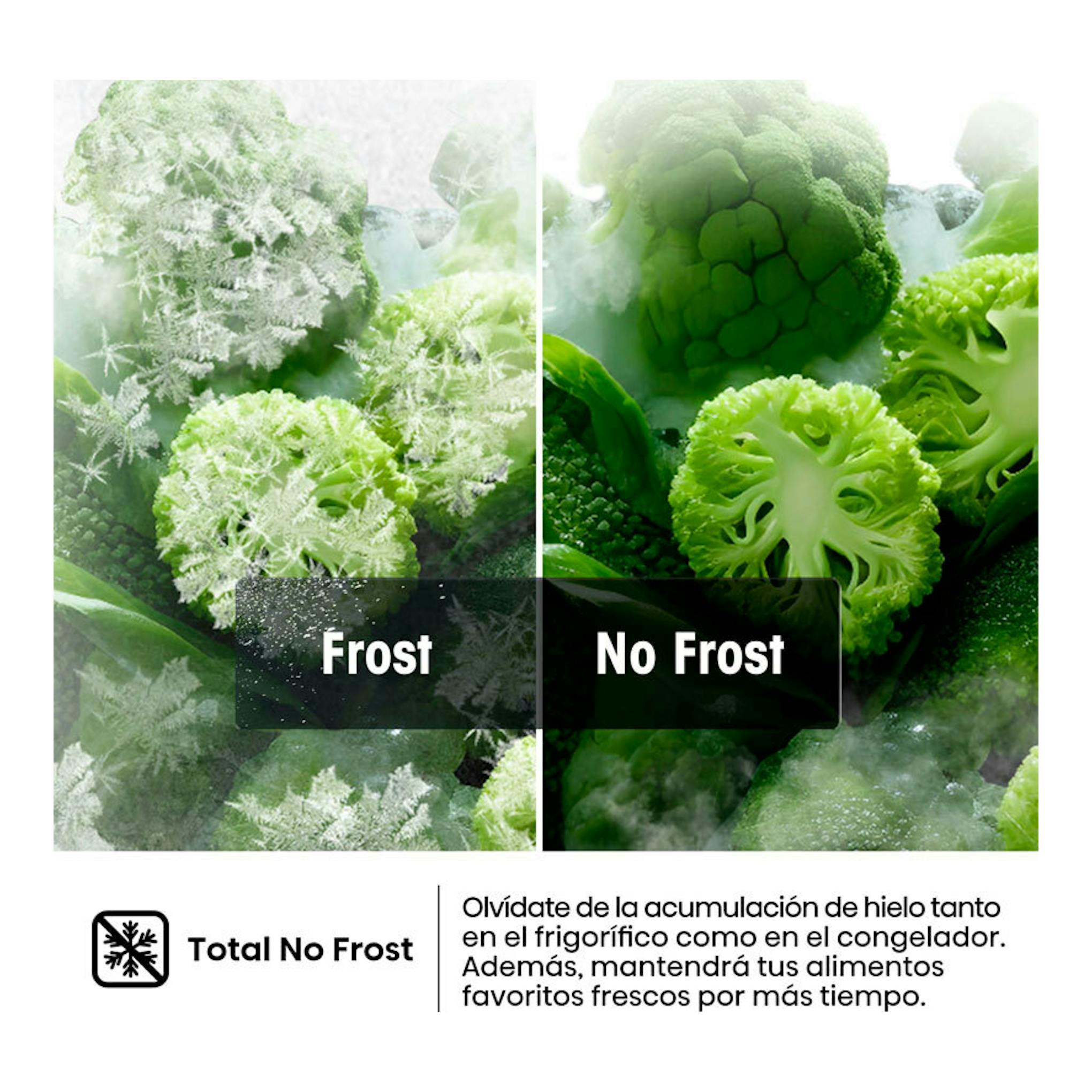 Hisense FT3K310SEWE, imagen comparativa Frost vs No Frost con verduras congeladas y texto de Total No Frost.