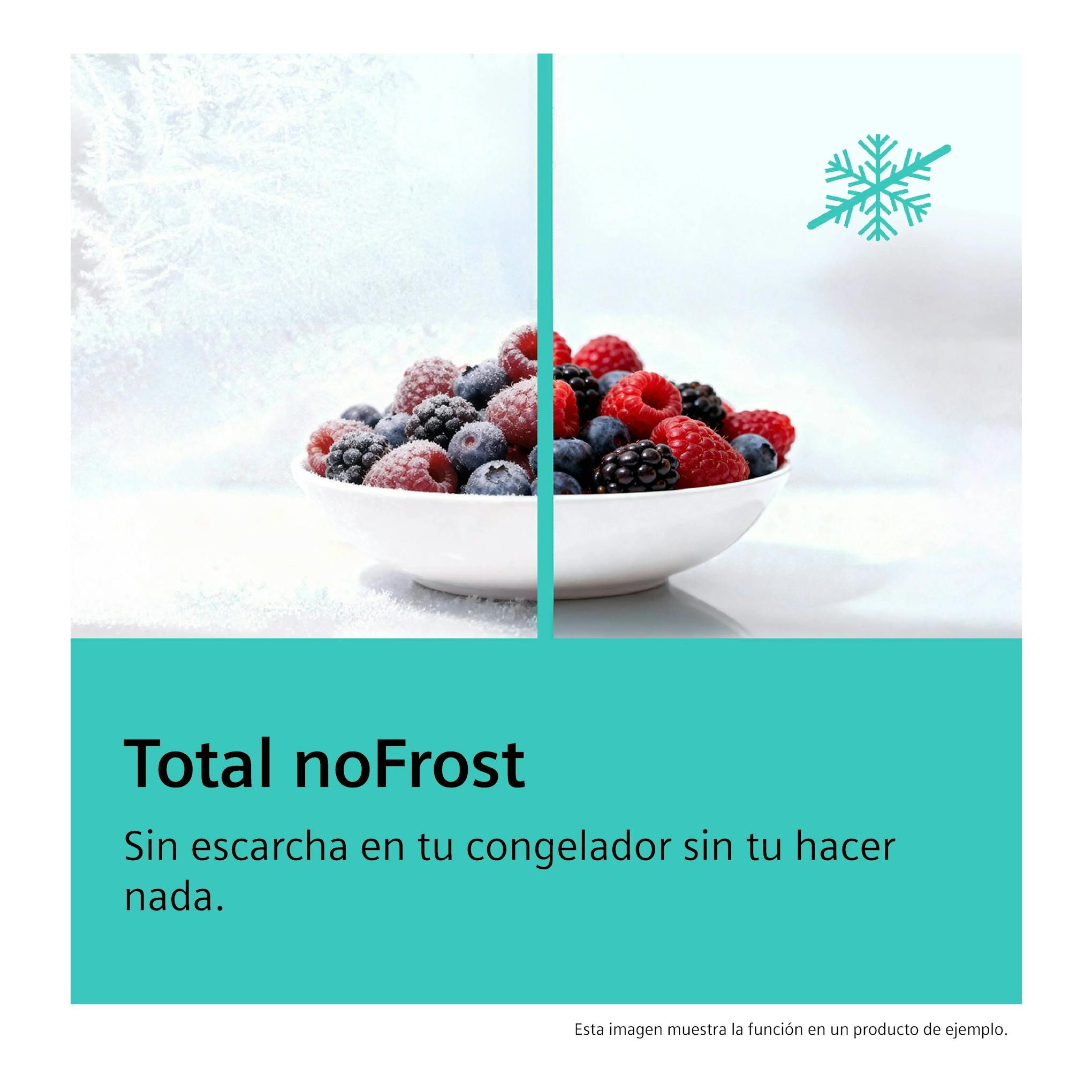 Gráfico de Siemens GS36NAXCG con bol de frutos rojos, dividido entre escarcha y sin escarcha, texto Total noFrost.