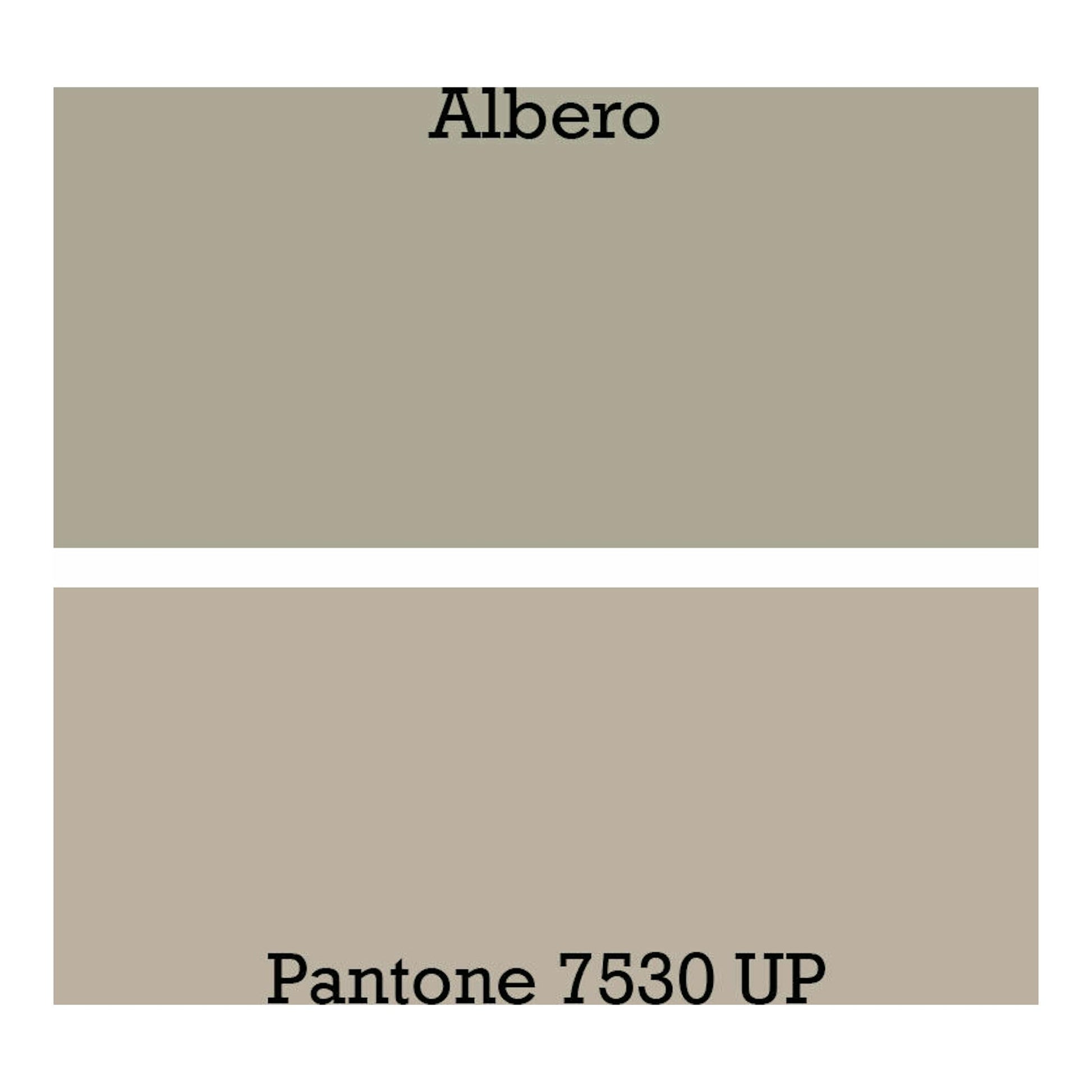 Poalgi City 1C Albero Mate: muestra de color beige con texto Albero y Pantone 7530 UP.