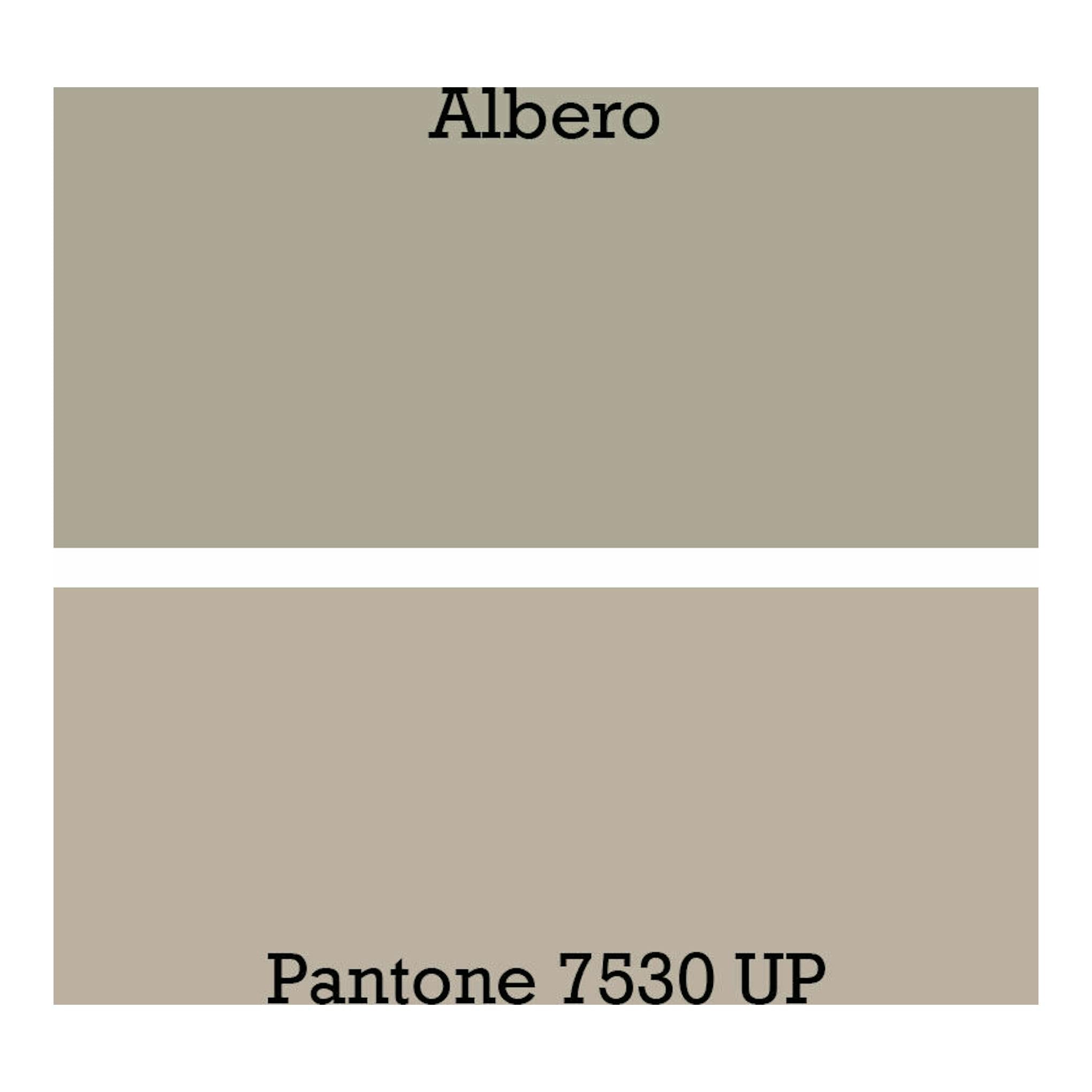 Poalgi City 1C Albero Mate: muestra de color beige con texto Albero y Pantone 7530 UP.