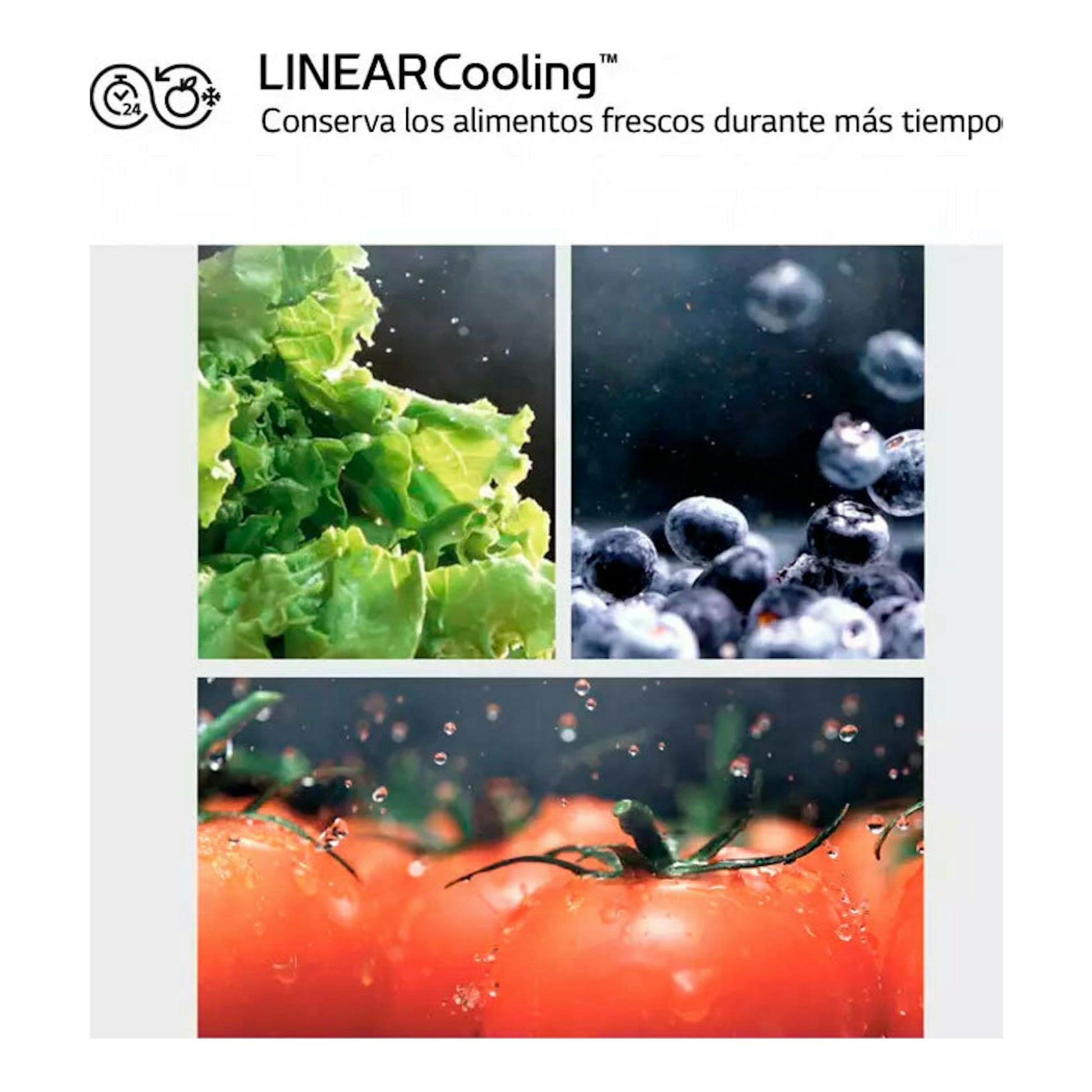Gráfico promocional de LG LINEARCooling con lechuga, arándanos y tomates.