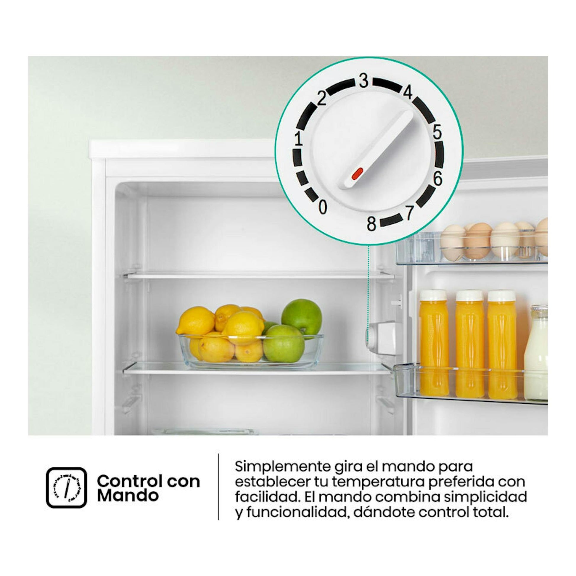 Interior de frigorífico blanco Hisense RL170D4BWE con frutas, botellas y mando de temperatura.