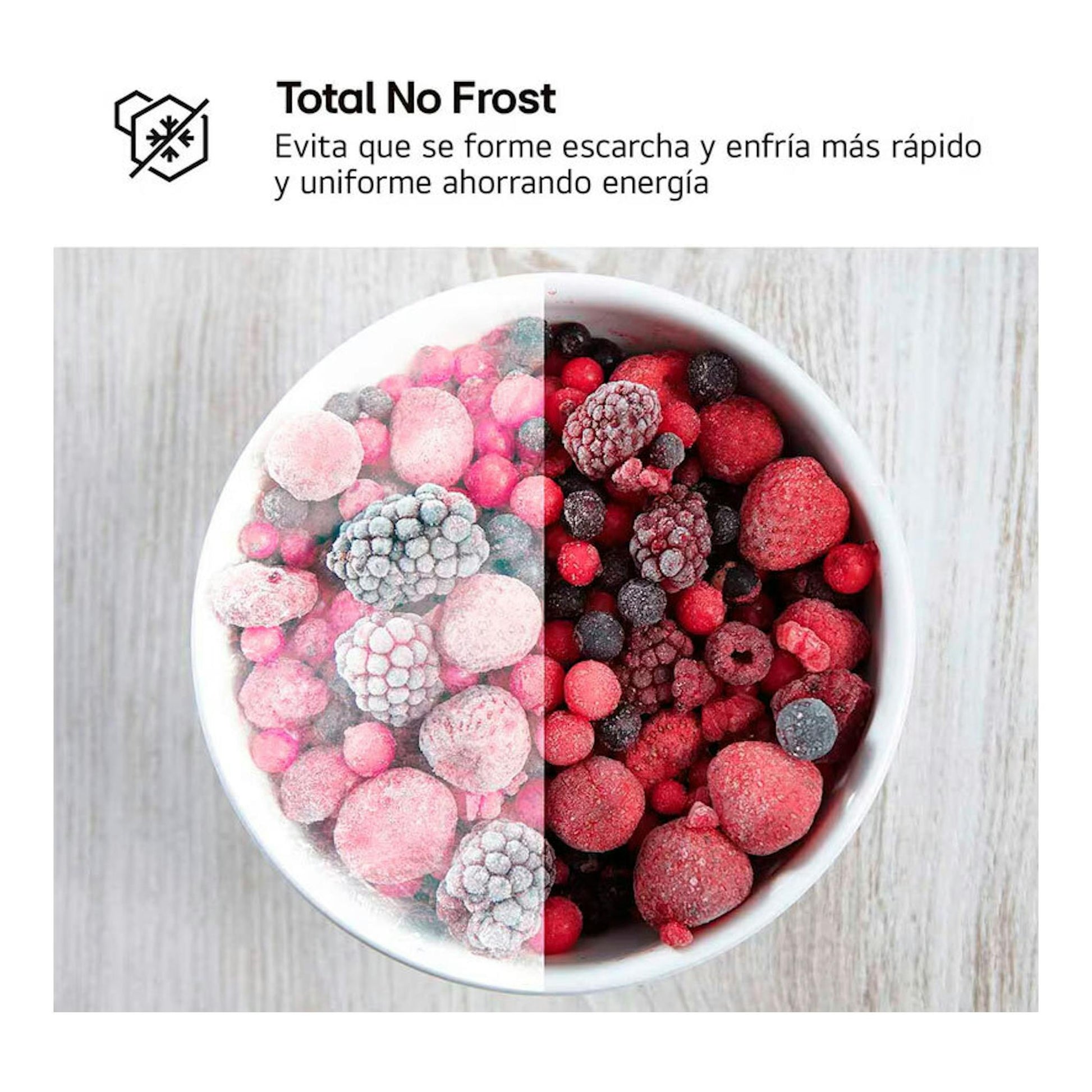 Gráfico de LG GTBV20SWZJD: cuenco de frutos rojos medio escarchados y texto “Total No Frost”.
