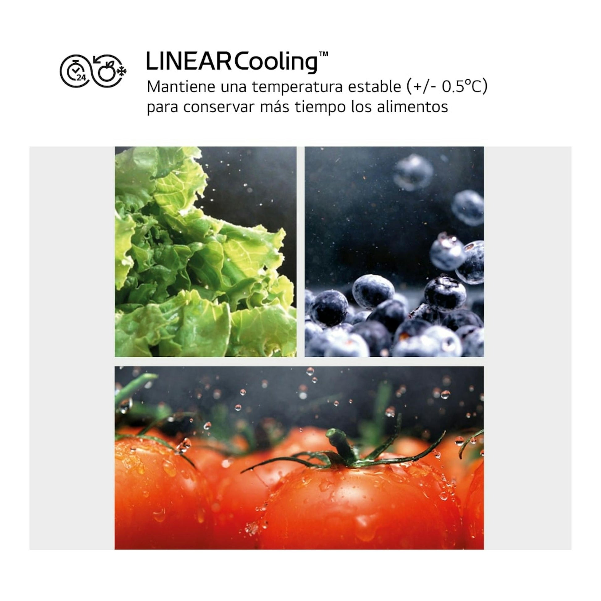 Infografía de LG LinearCooling con lechuga, arándanos y tomates sobre temperatura estable.