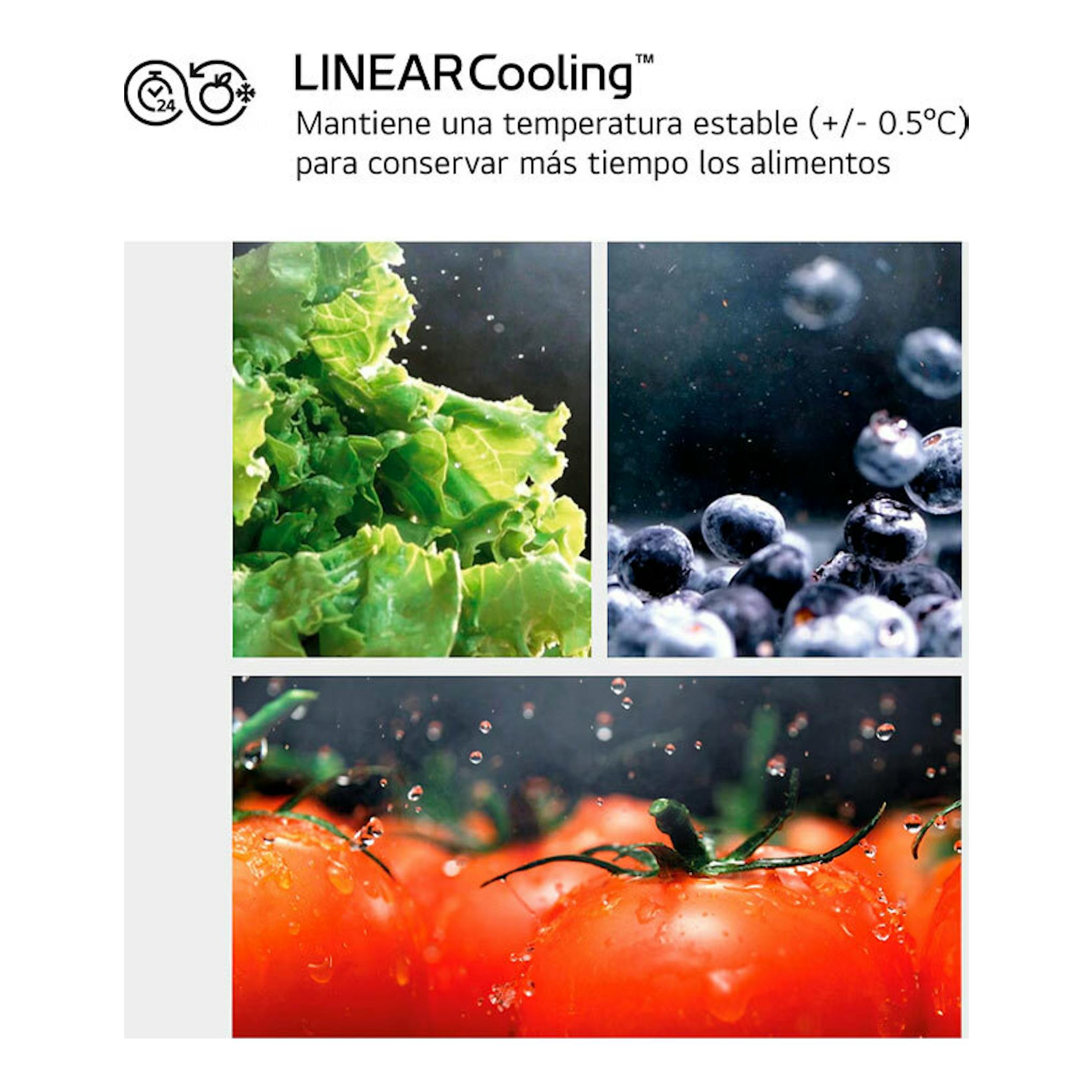 LG LINEARCooling: gráfico con texto sobre temperatura estable y fotos de lechuga, arándanos y tomates.