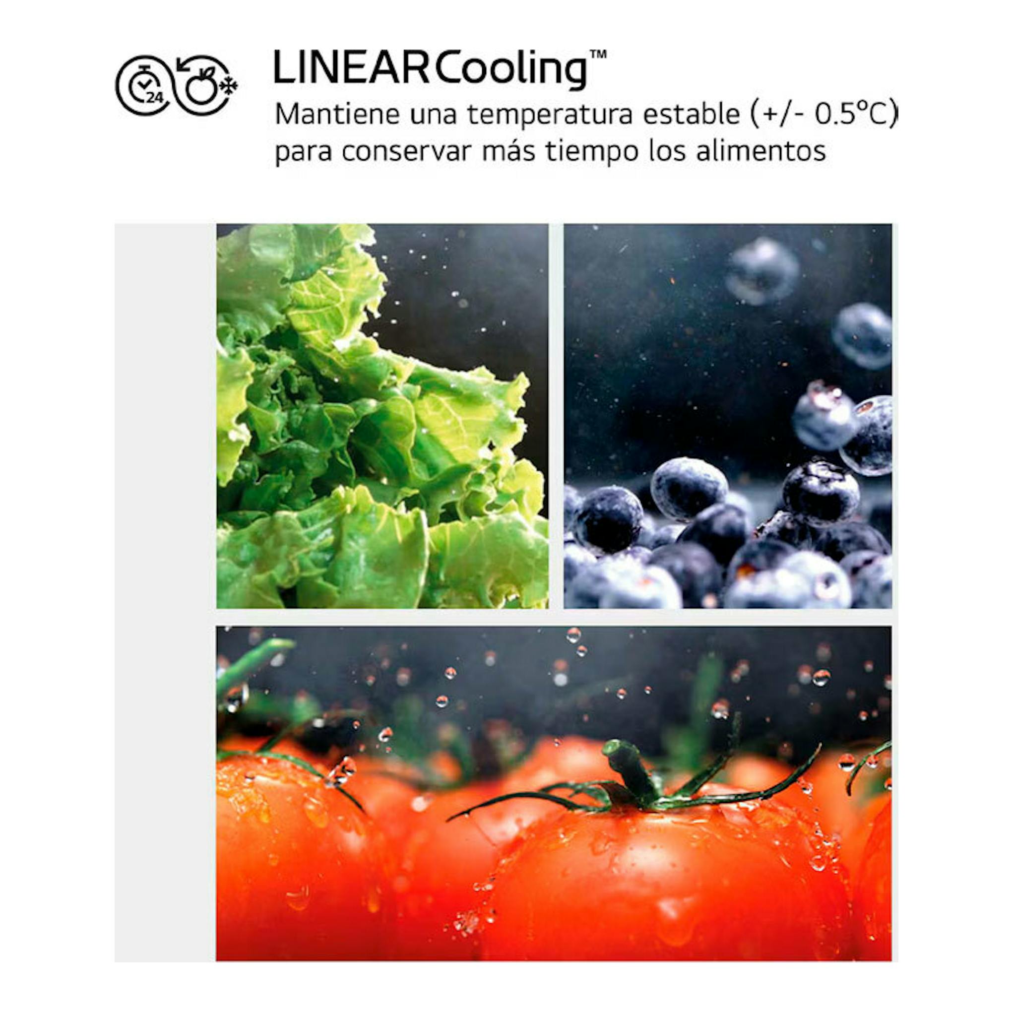 Infografía de LG LINEARCooling del frigorífico GSBC40SWPE, con lechuga, arándanos y tomates con gotas de agua.