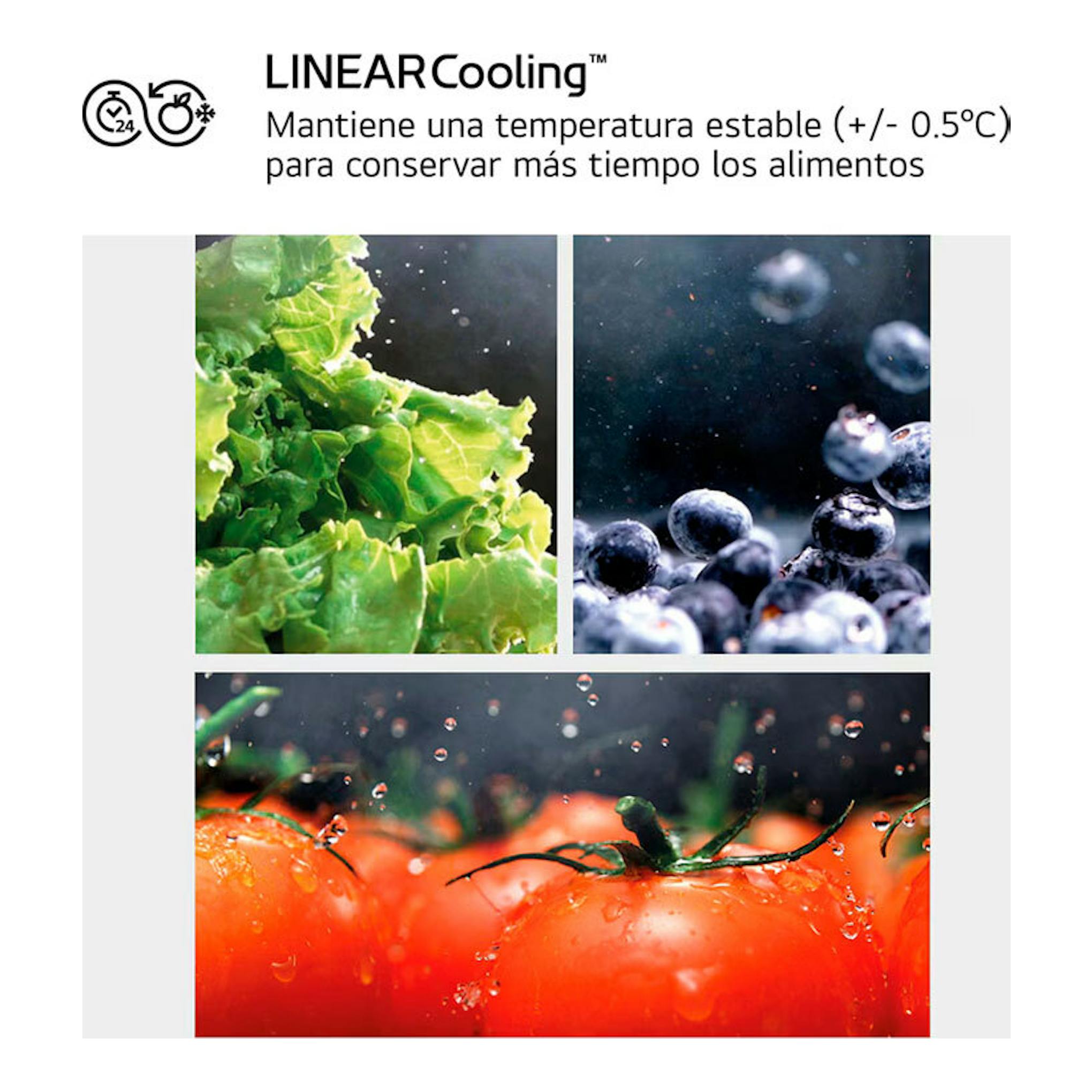 LG LinearCooling: verduras, arándanos y tomates con gotas de agua en una imagen promocional de refrigeración.