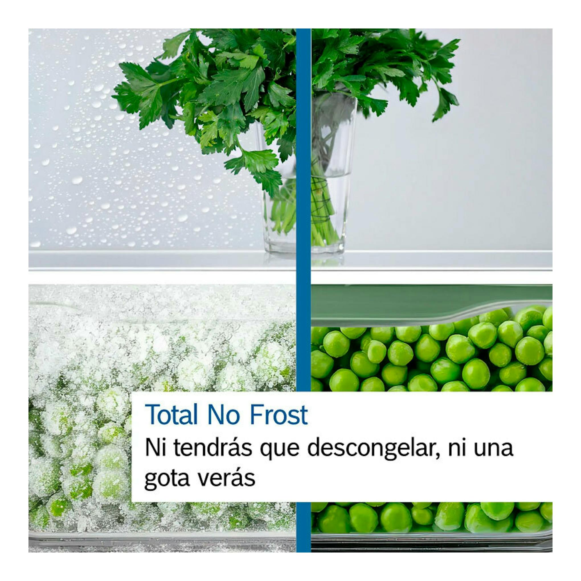 Bosch KGN392XCF, imagen ilustrativa de Total No Frost con perejil, guisantes y escarcha.