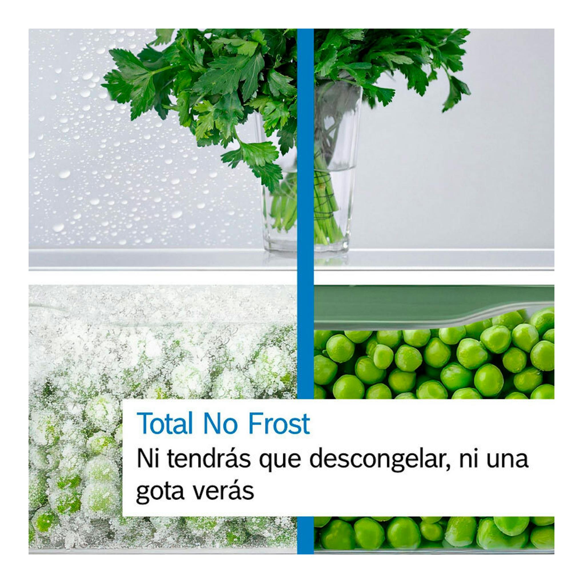 Gráfico promocional Bosch KGN39VWDC blanco con verduras congeladas y texto «Total No Frost».
