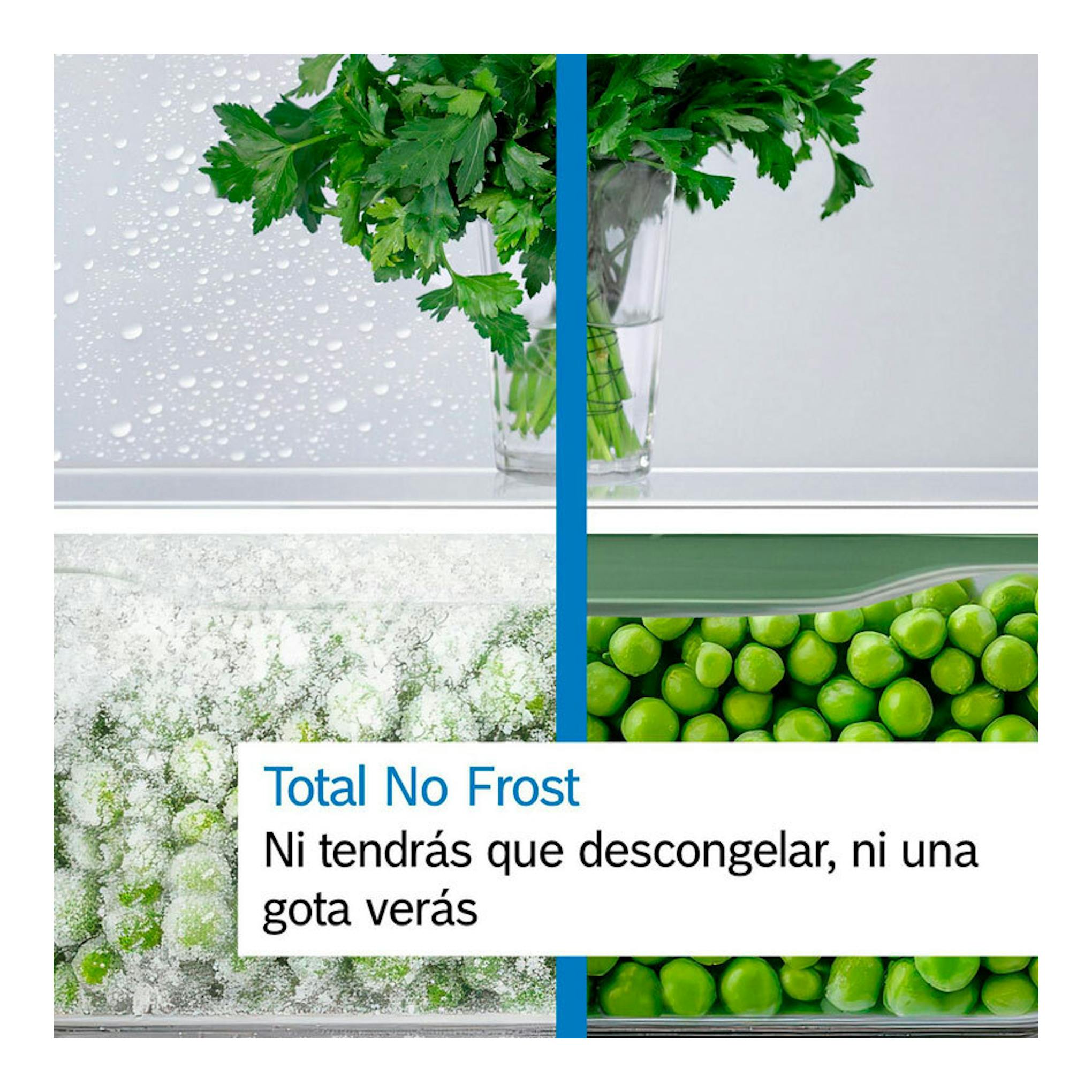 Imagen promocional de Bosch KGN49XIEA con cuatro paneles: perejil, escarcha y guisantes, texto Total No Frost.