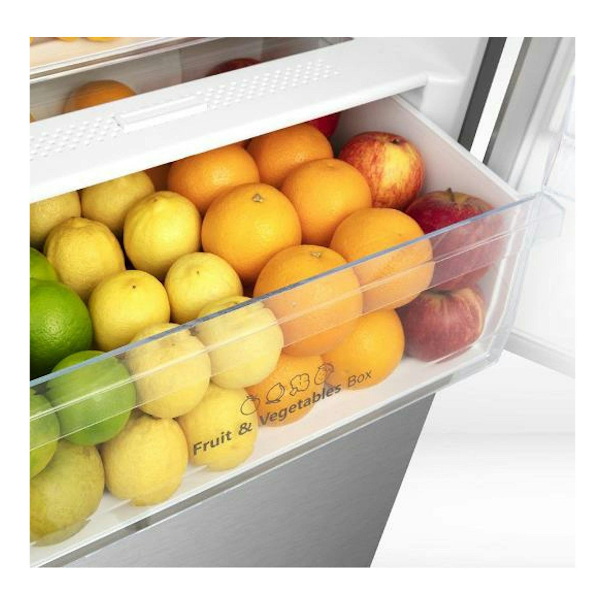 Cajón transparente de un frigorífico Hisense RB440N4CCB con frutas cítricas y manzanas, vista interior.