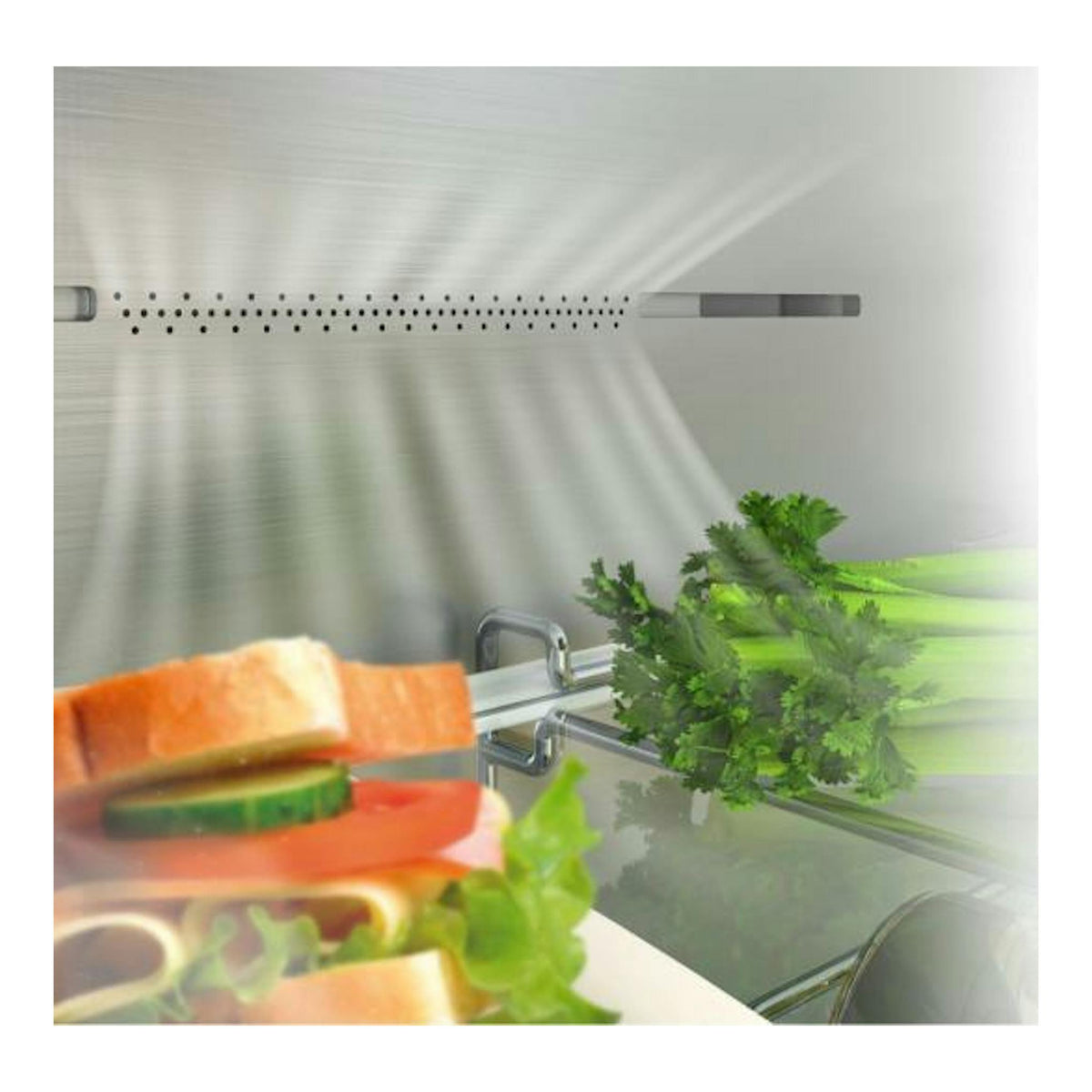 Interior de frigorífico Hisense RB440N4CCB en inox, con alimentos y estantes de vidrio, vista frontal.