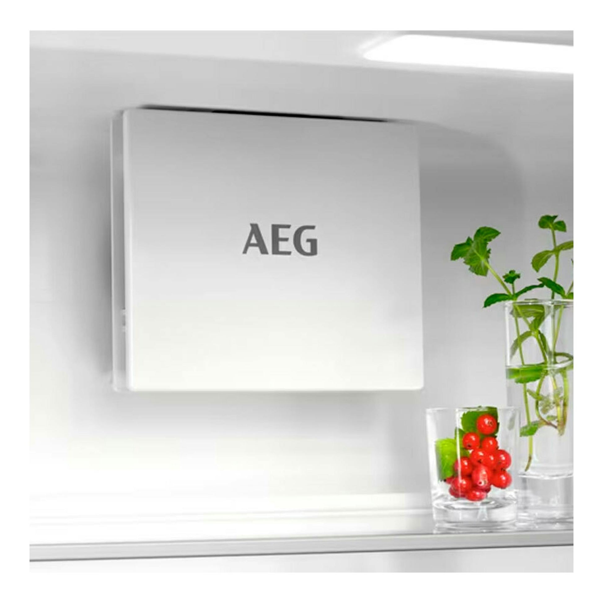 Frigorífico integrable AEG blanco, vista frontal de la puerta con logotipo AEG.