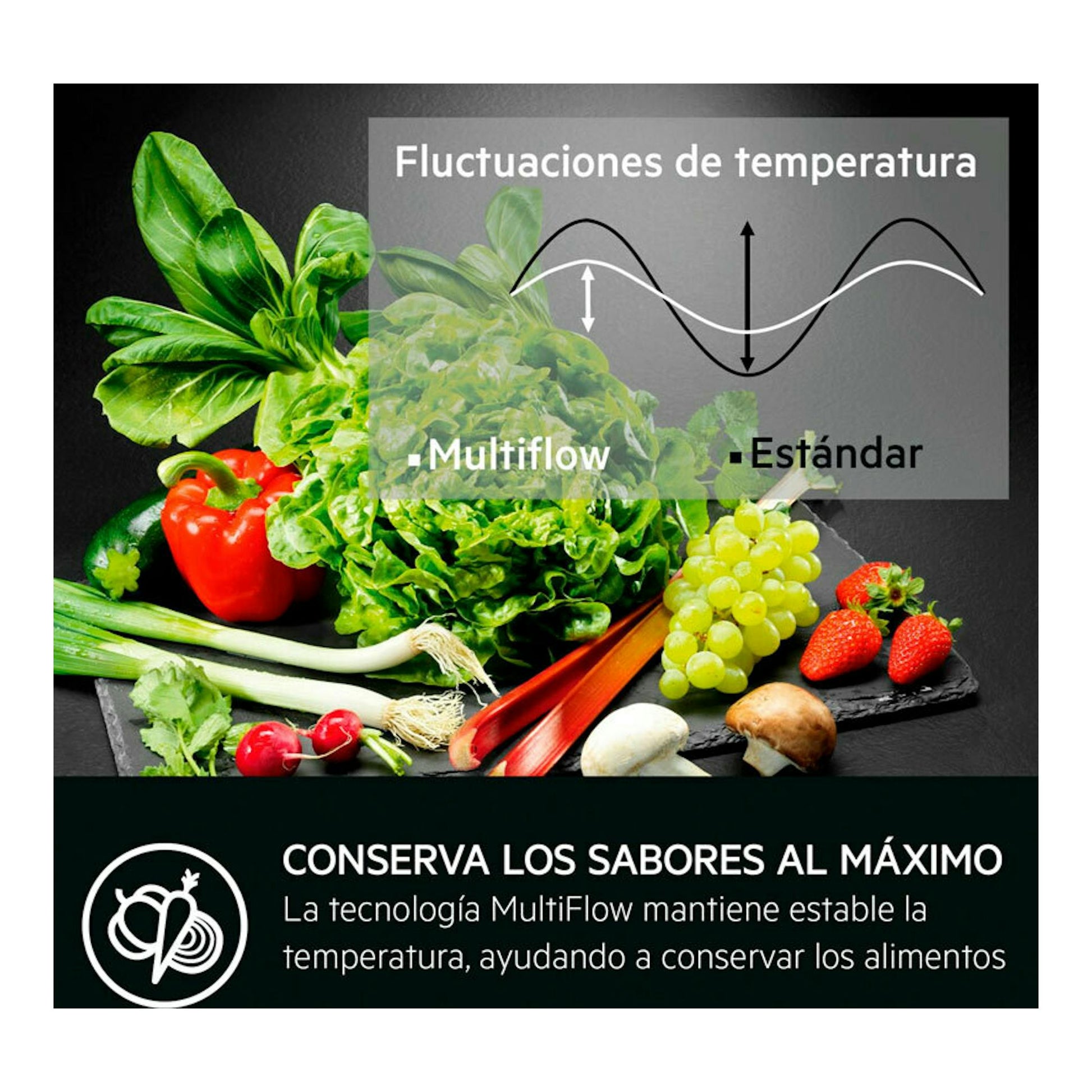 AEG TC6MS19FES, gráfico frontal con verduras y texto sobre fluctuaciones de temperatura y tecnología MultiFlow.