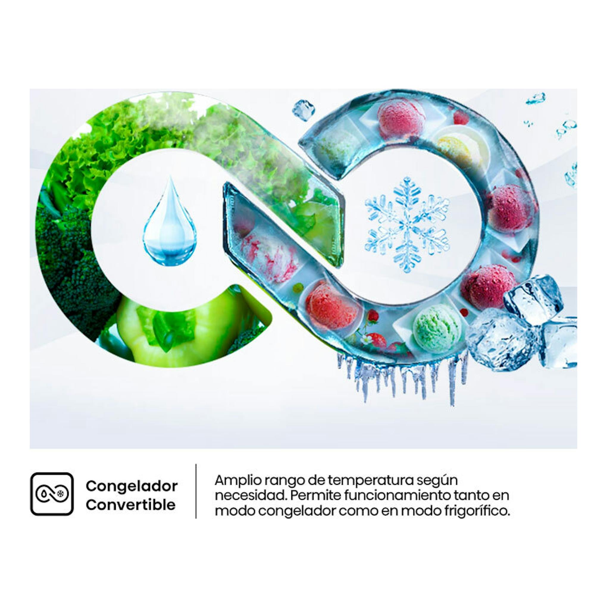 Gráfico de Hisense RB3B370SAWD1 con congelador convertible, frutas, hielo y copos de nieve.