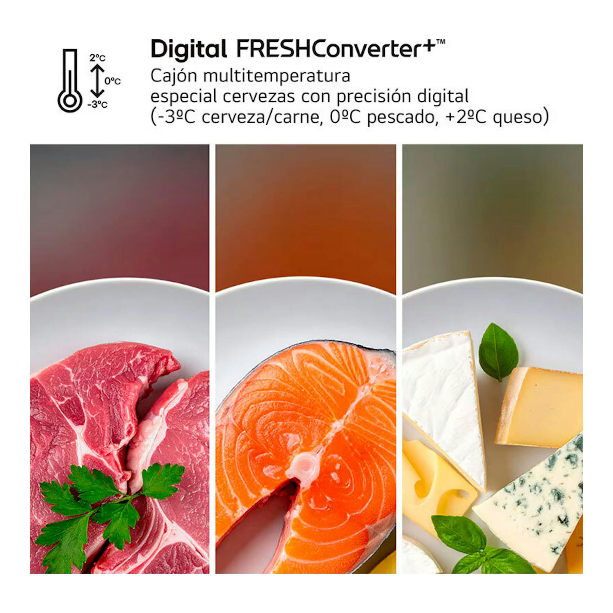 Infografía frontal del LG GBBS312CPY Inox con Digital FRESHConverter+ y alimentos: carne, salmón y queso.