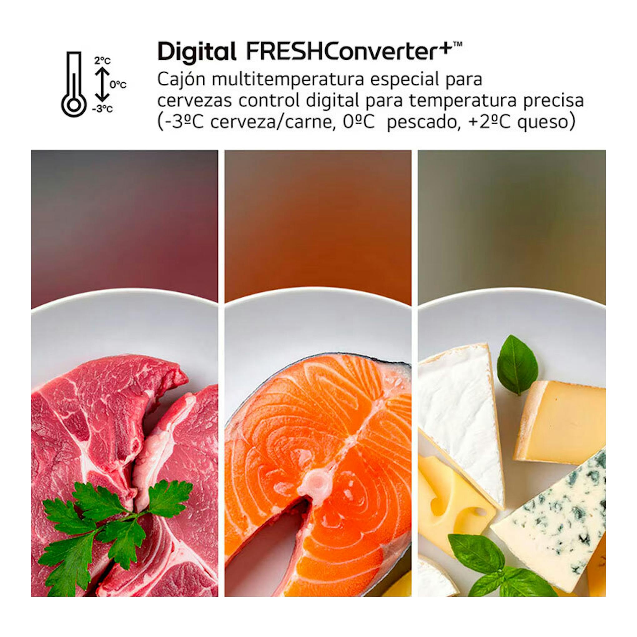 Gráfico de LG GBBSJ2CCPY Inox: Digital FRESHConverter+ con carne, salmón y quesos en tres paneles.