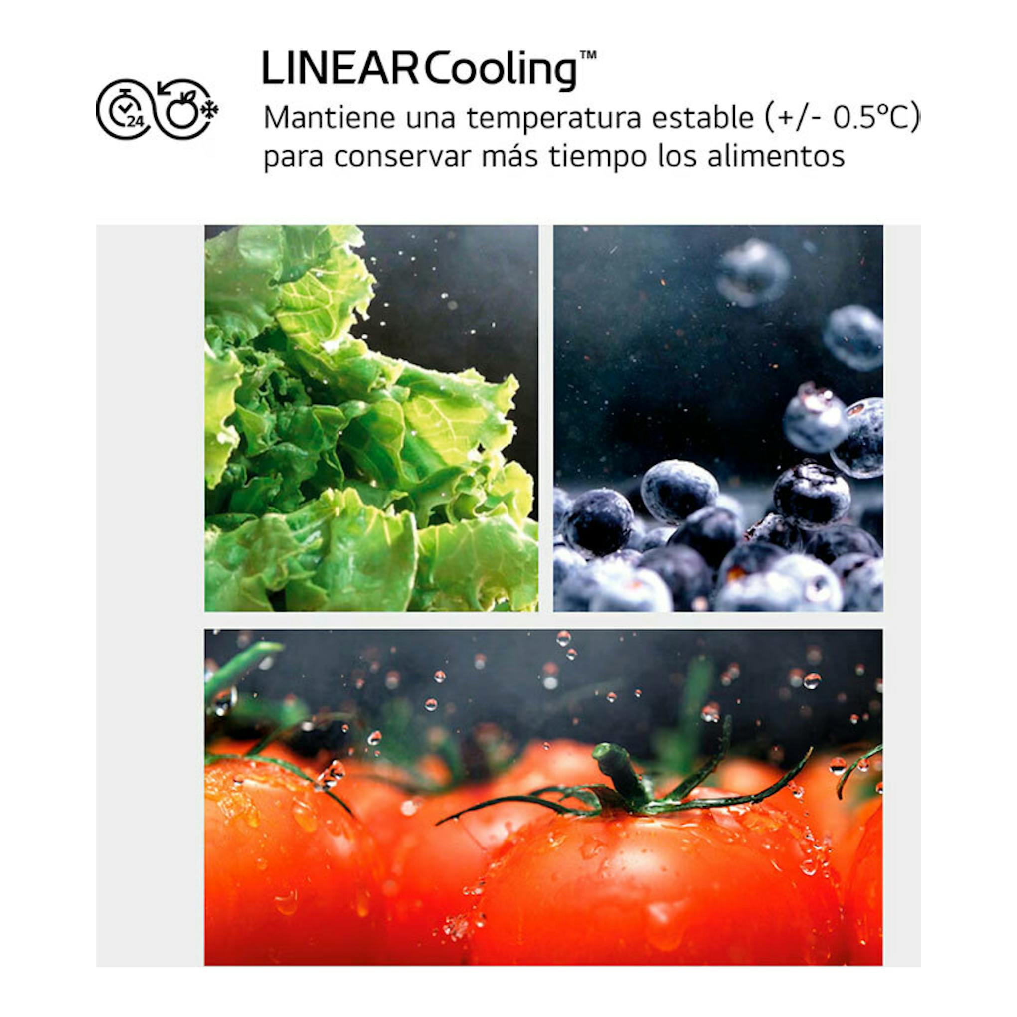 Infografía de LG LINEARCooling con lechuga, arándanos y tomates, y texto sobre temperatura estable.