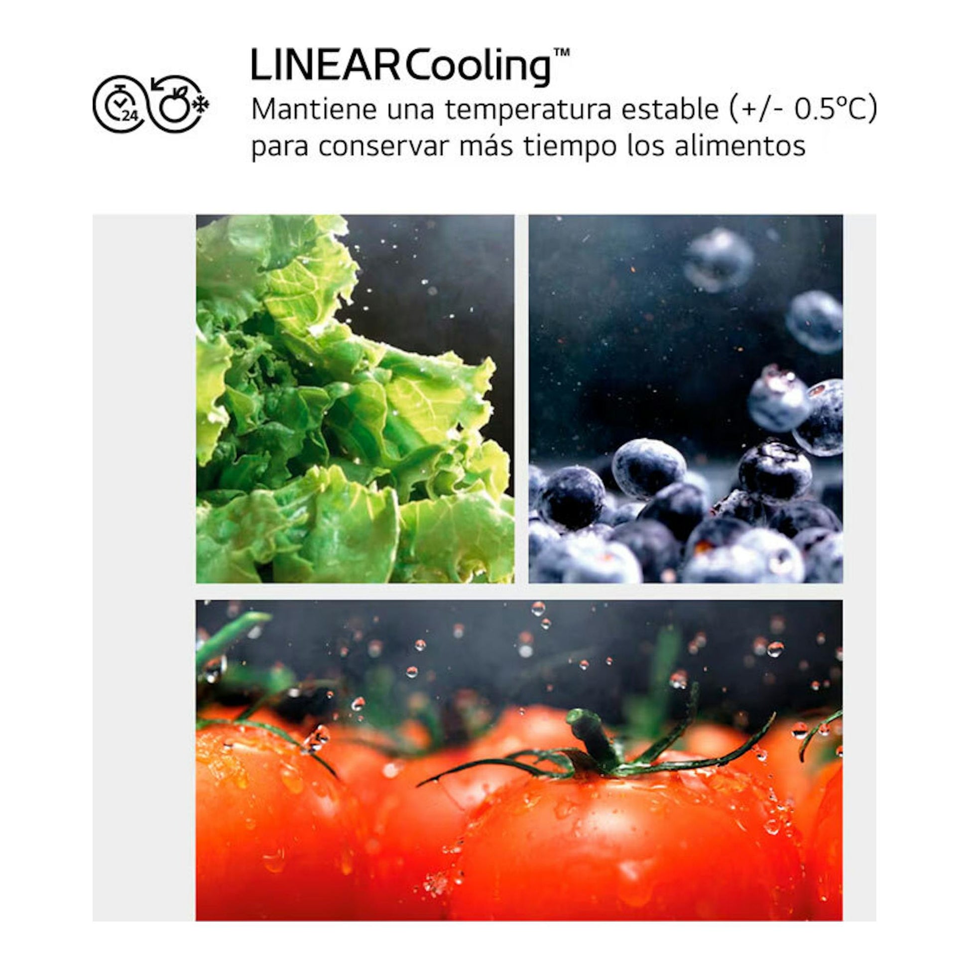 LG LINEARCooling: gráfico con lechuga, arándanos y tomates.