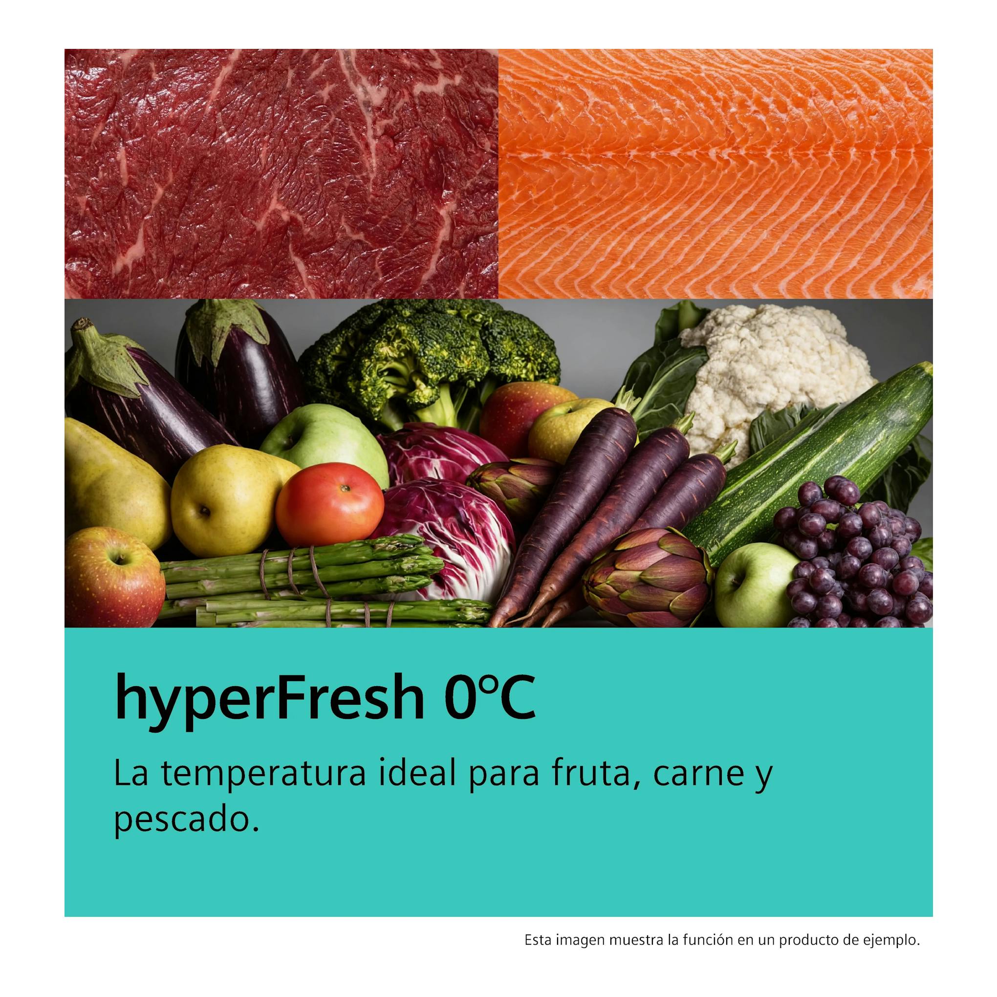 Gráfico de Siemens hyperFresh 0°C con carne, salmón, frutas y verduras sobre fondo turquesa.