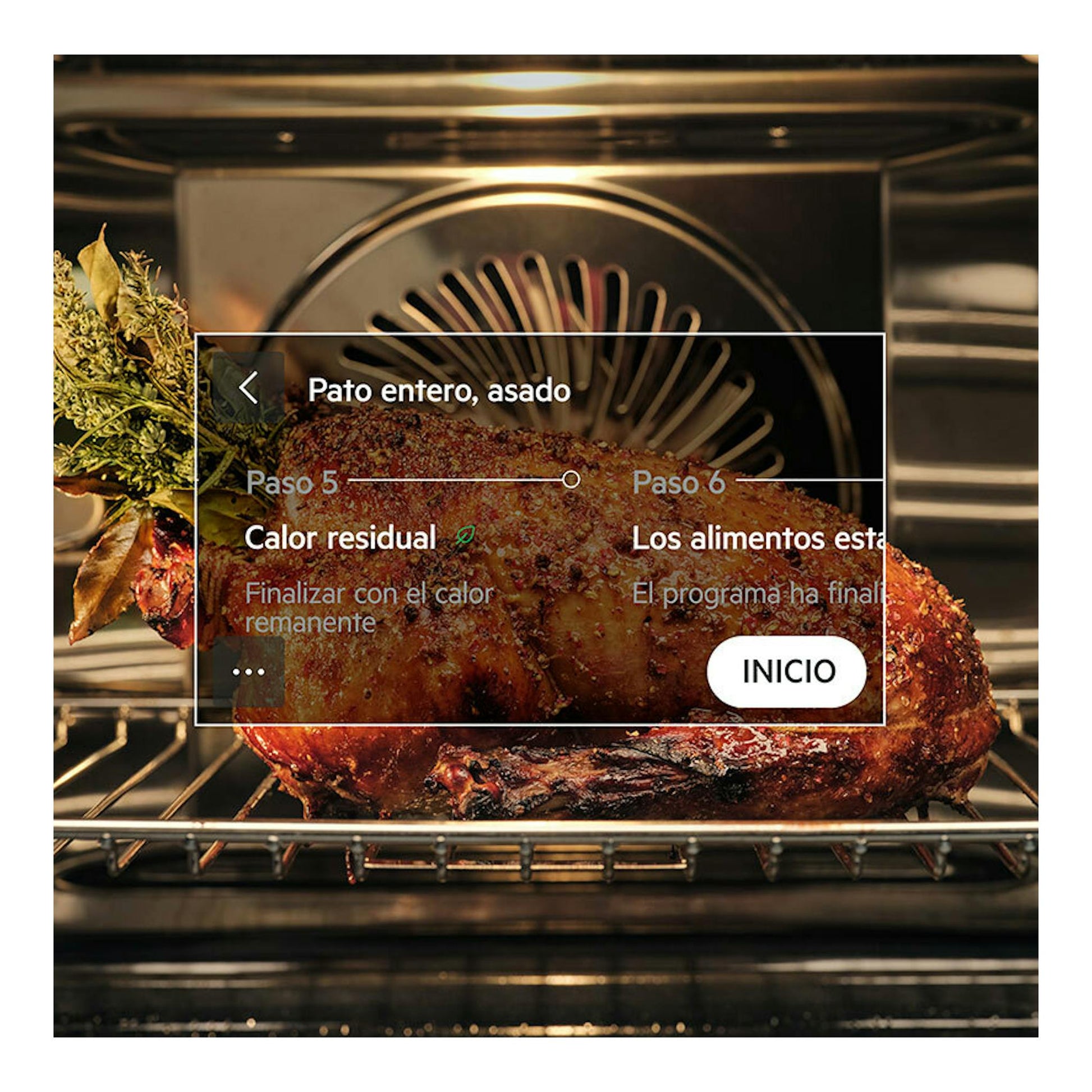 Horno AEG TK8NK721B de cristal negro, vista frontal del interior con un pato asado en la bandeja.