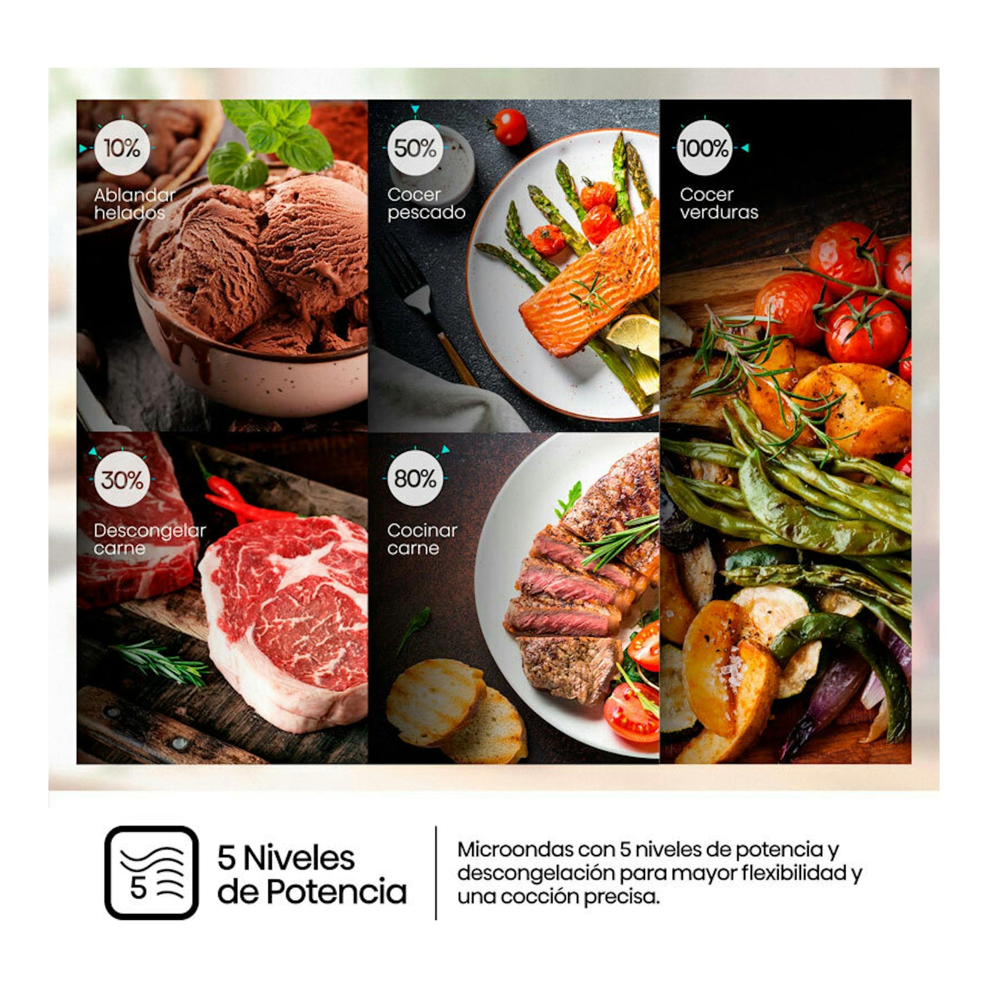 Hisense H20MOWP1HG negro, gráfico de 5 niveles de potencia con platos de carne, pescado, verduras y helado.