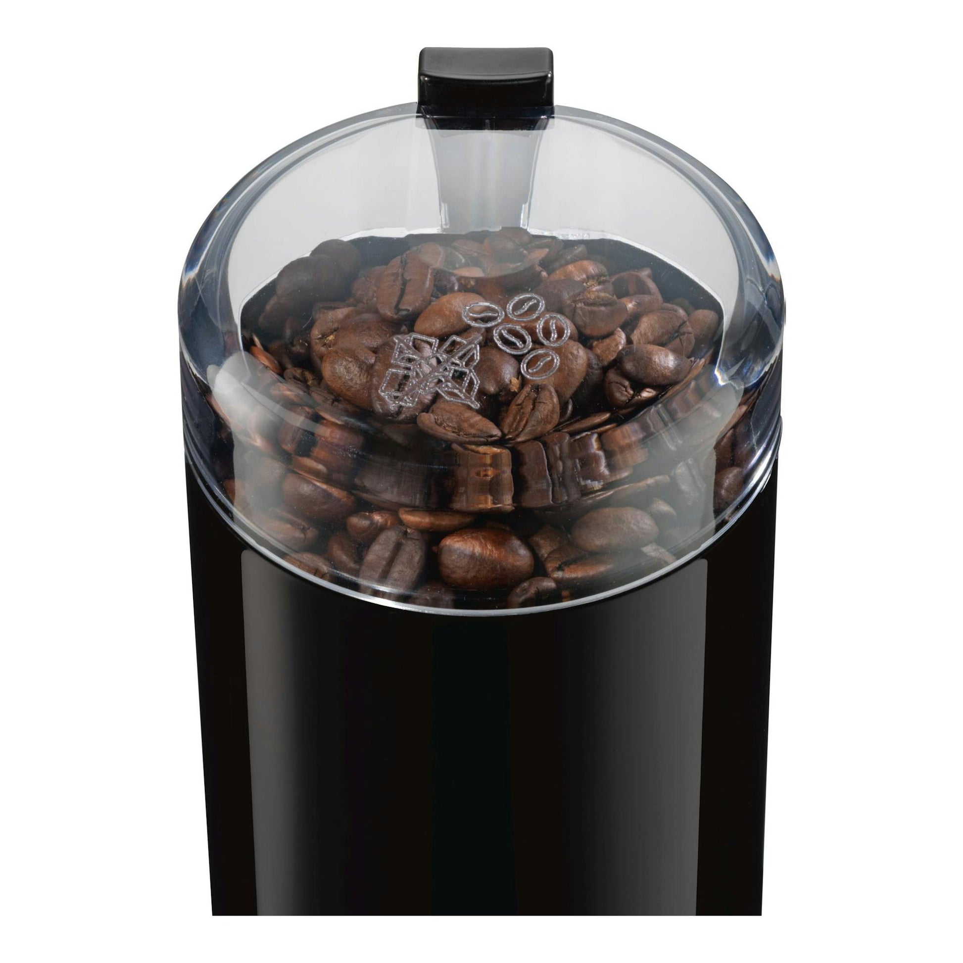Molinillo de café Bosch TSM6A013B negro, vista frontal superior, con tapa transparente y granos de café.