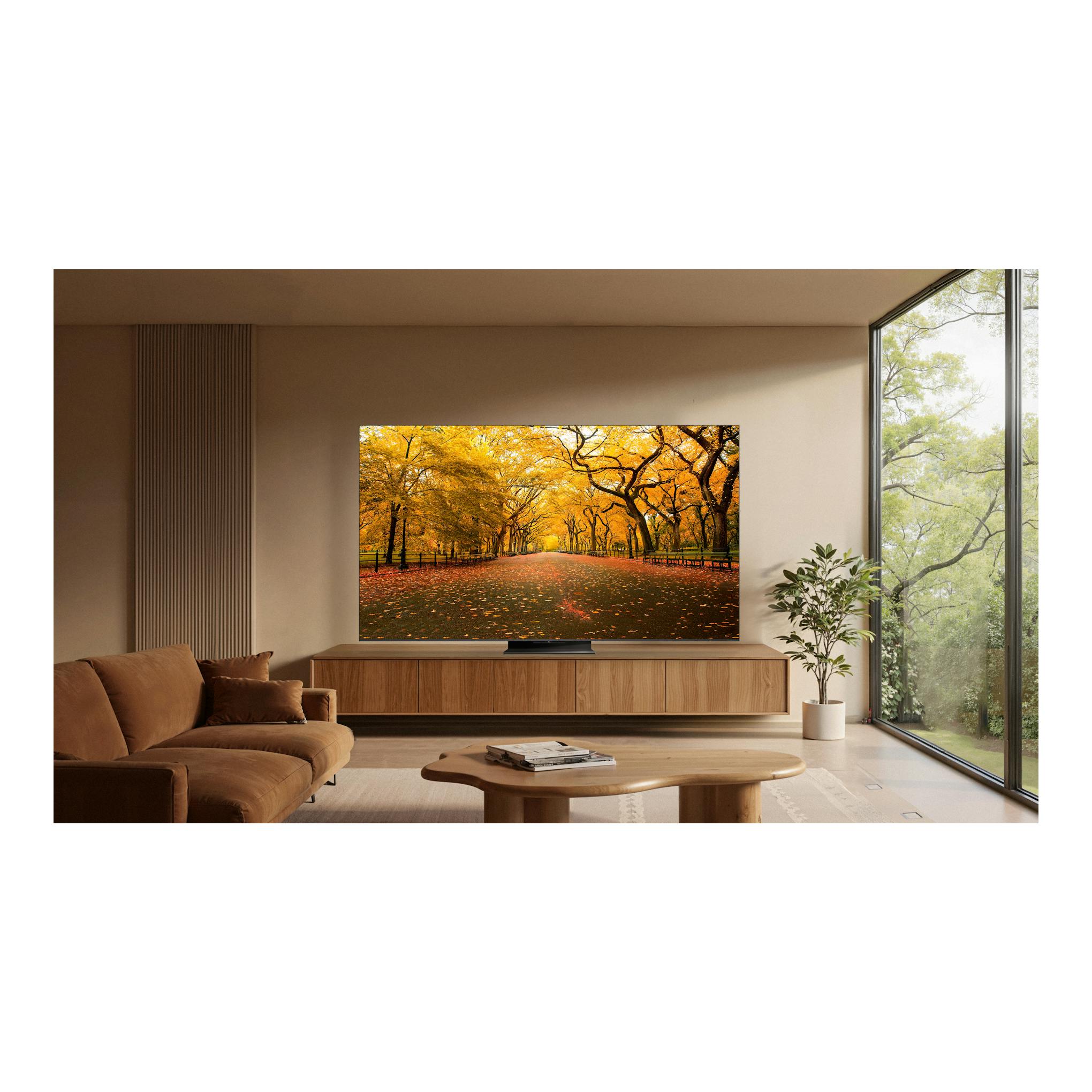 TV TCL 75C8L de 75 pulgadas, vista frontal en salón, con imagen de parque otoñal en la pantalla.