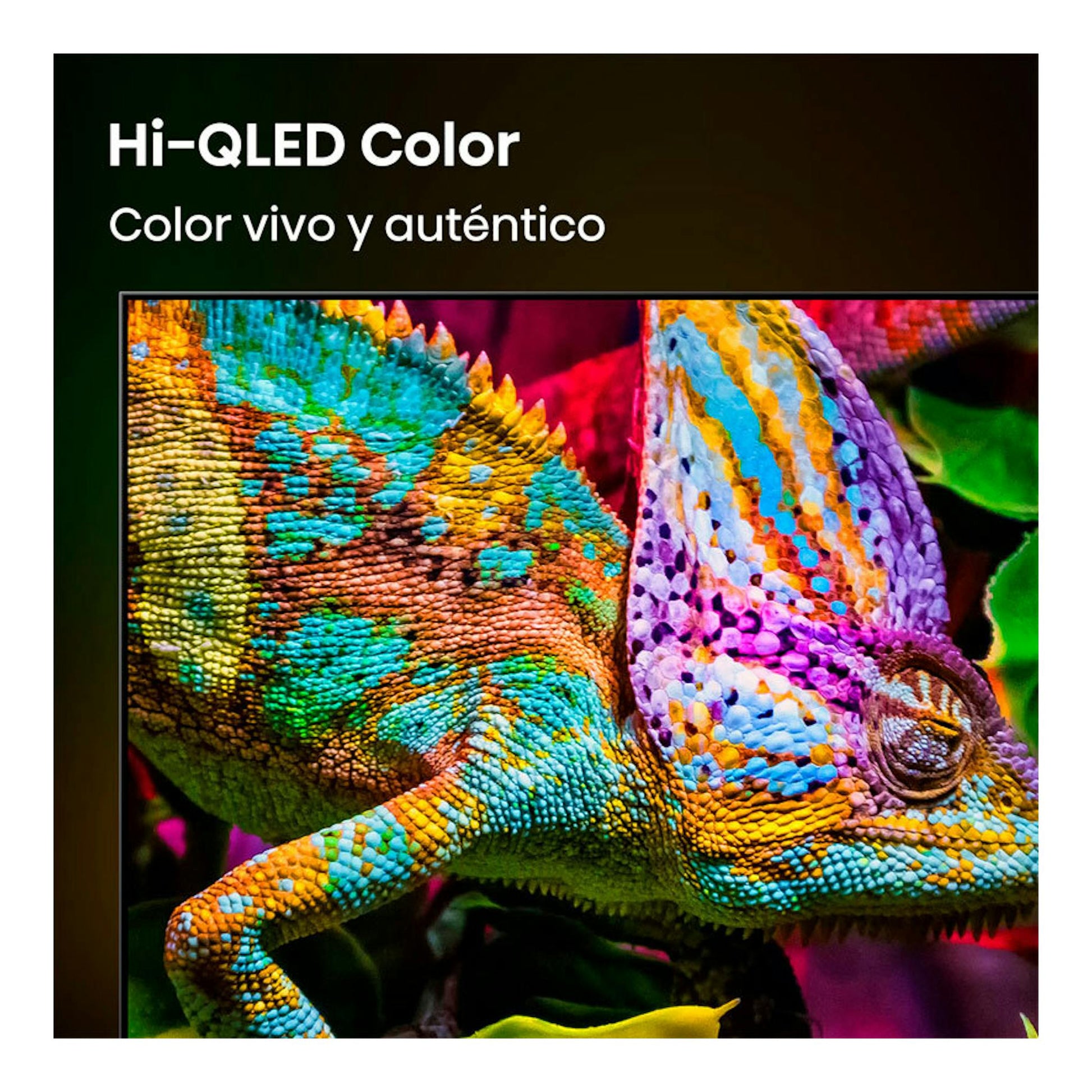Hisense 50E8S: pantalla con un camaleón multicolor y texto «Hi-QLED Color» en fondo oscuro.
