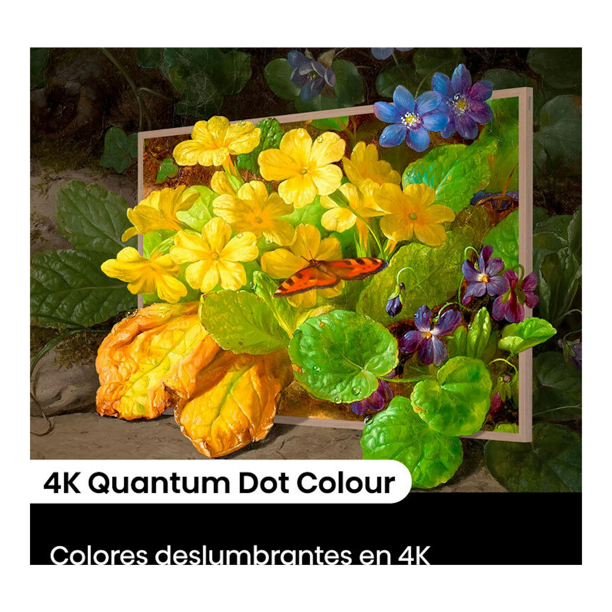 Hisense 55S7NQ: pantalla con flores amarillas, hojas verdes y una mariposa; texto 4K Quantum Dot Colour.