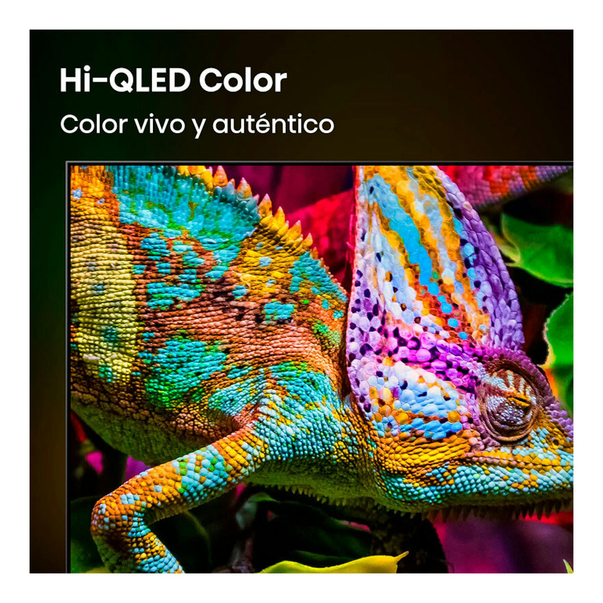 TV Hisense 65E8S MiniLED 4K de 65”, vista frontal, con un camaleón multicolor en pantalla.