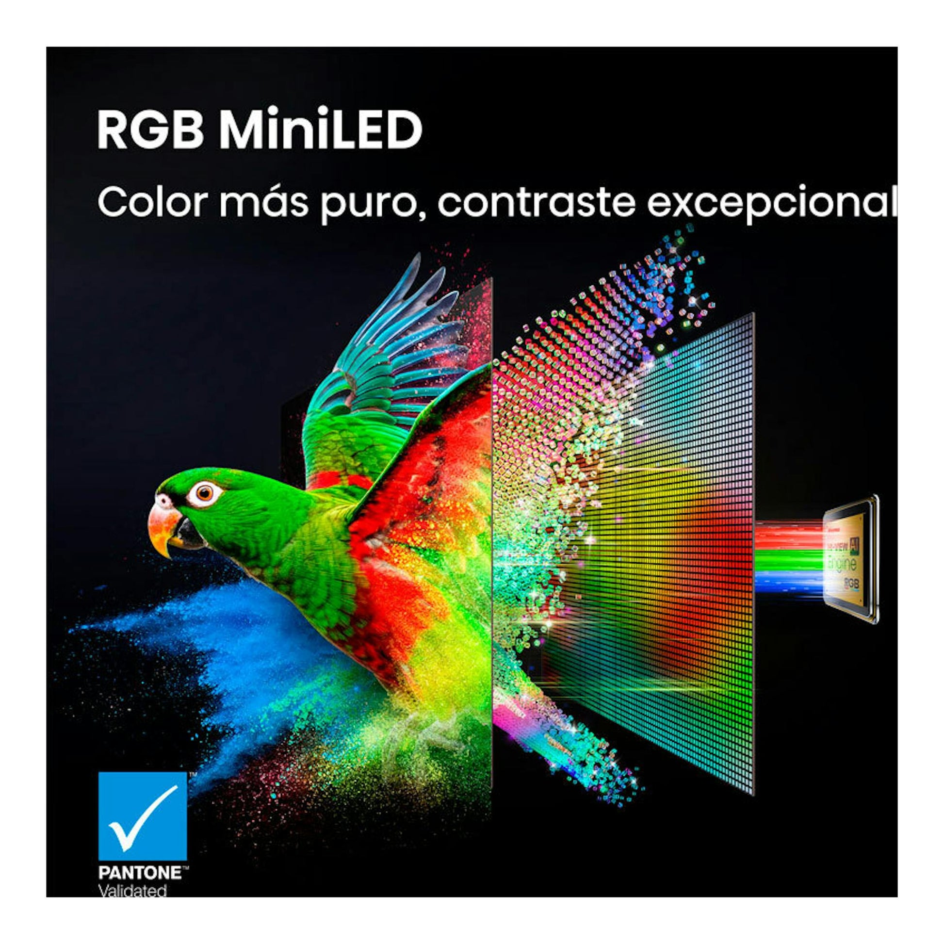Hisense 65UR9S MiniLED RGB: loro multicolor y panel de píxeles, fondo negro, logo Pantone Validated.