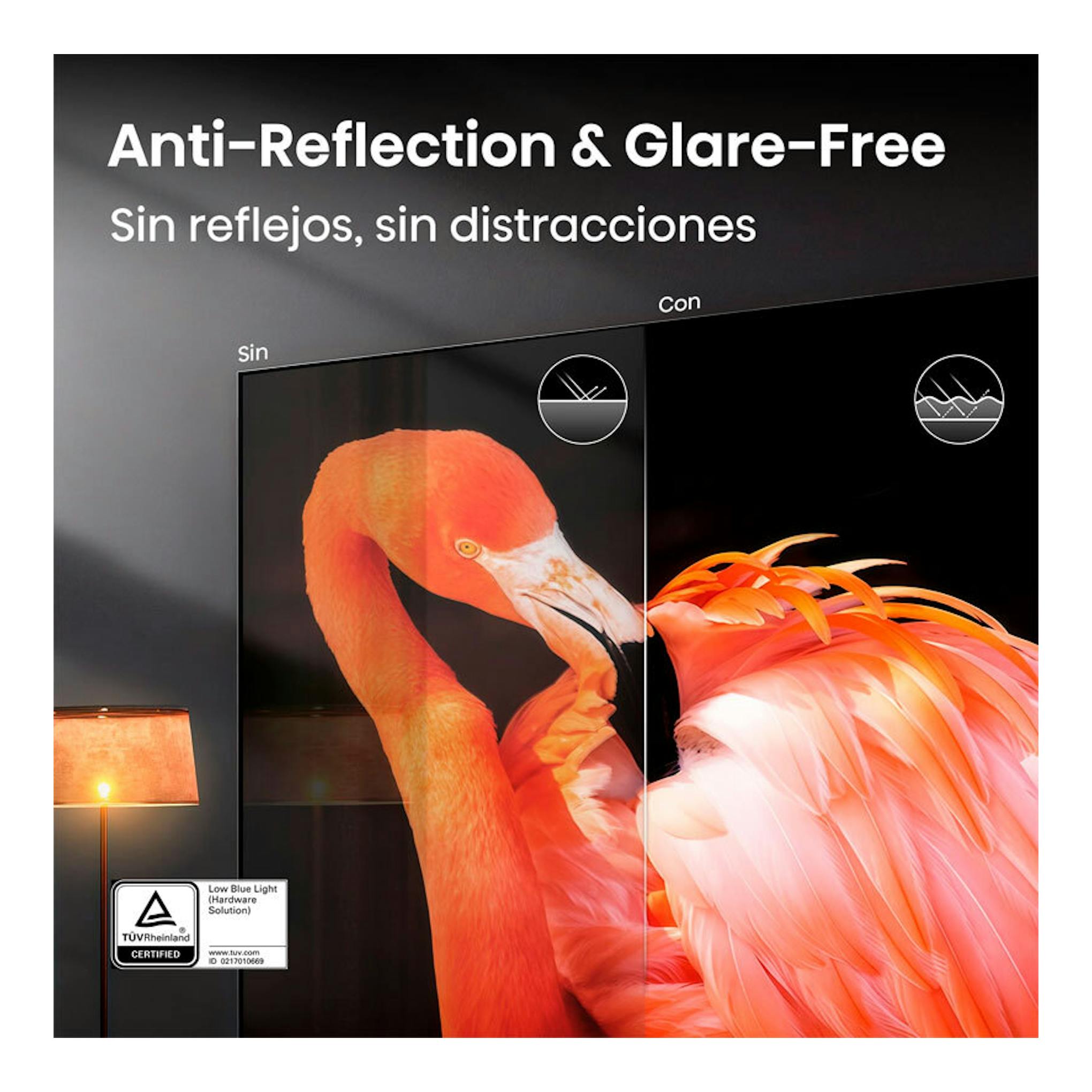 TV Hisense 75UR9S 75" en vista frontal comparativa: sin y con reflejos, imagen de flamenco naranja.