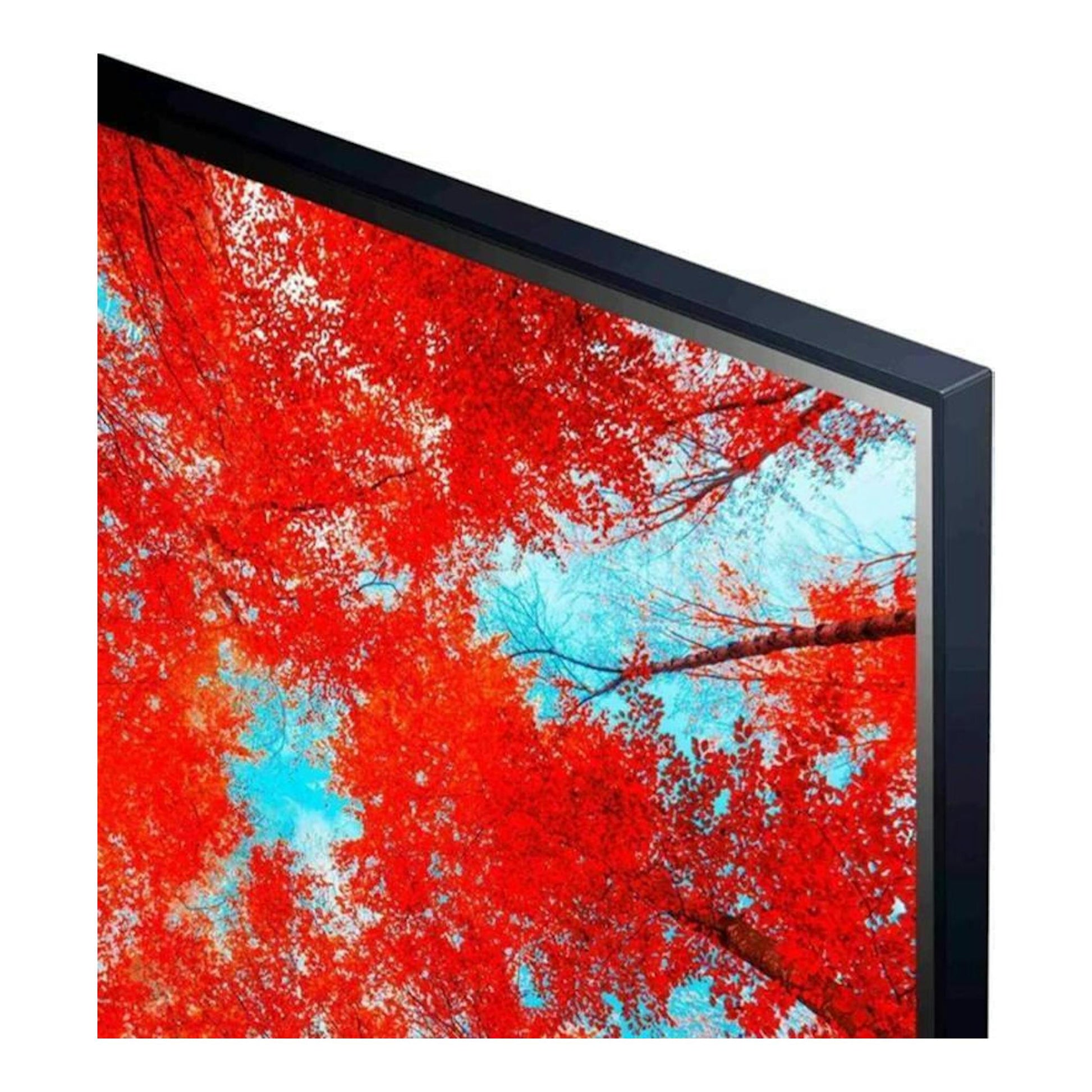 TV LG 43UQ91006LA, vista en ángulo, marco negro, pantalla con hojas rojas y cielo azul.