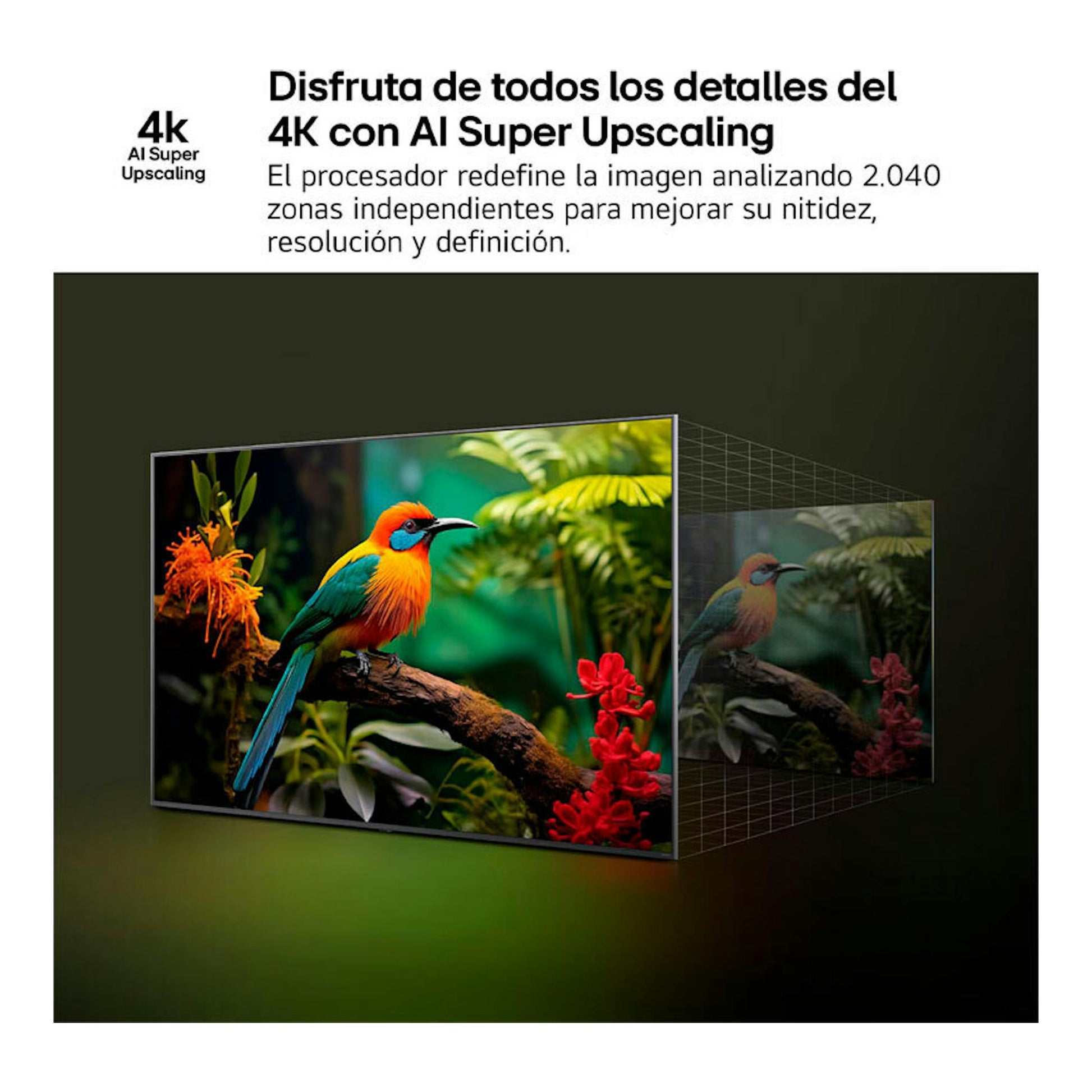 LG 50NANO81A6A, TV LED 4K de 50" en vista frontal con ligera perspectiva; se ve un pájaro y texto de AI Upscaling.