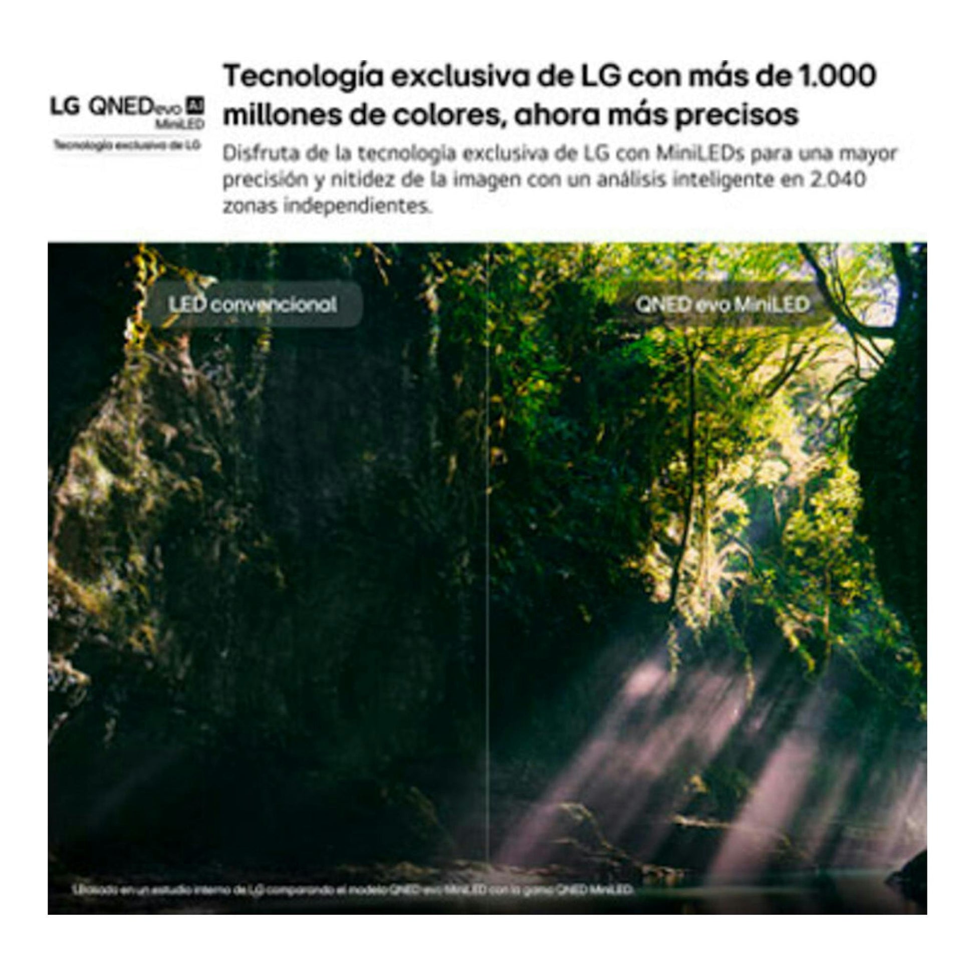 Comparativa de LG QNED evo AI MiniLED y LED convencional en una escena de bosque.