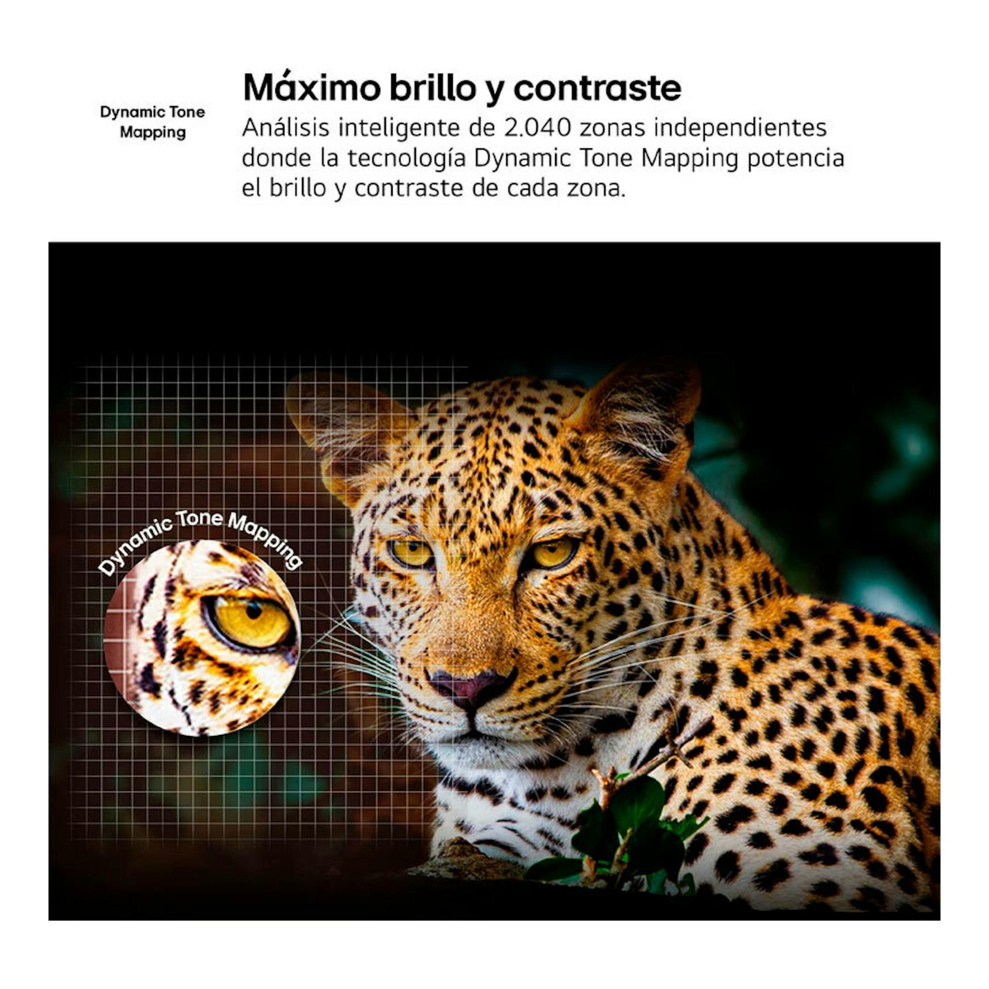 Gráfico promocional de Dynamic Tone Mapping con un leopardo en primer plano y una lupa sobre su ojo.