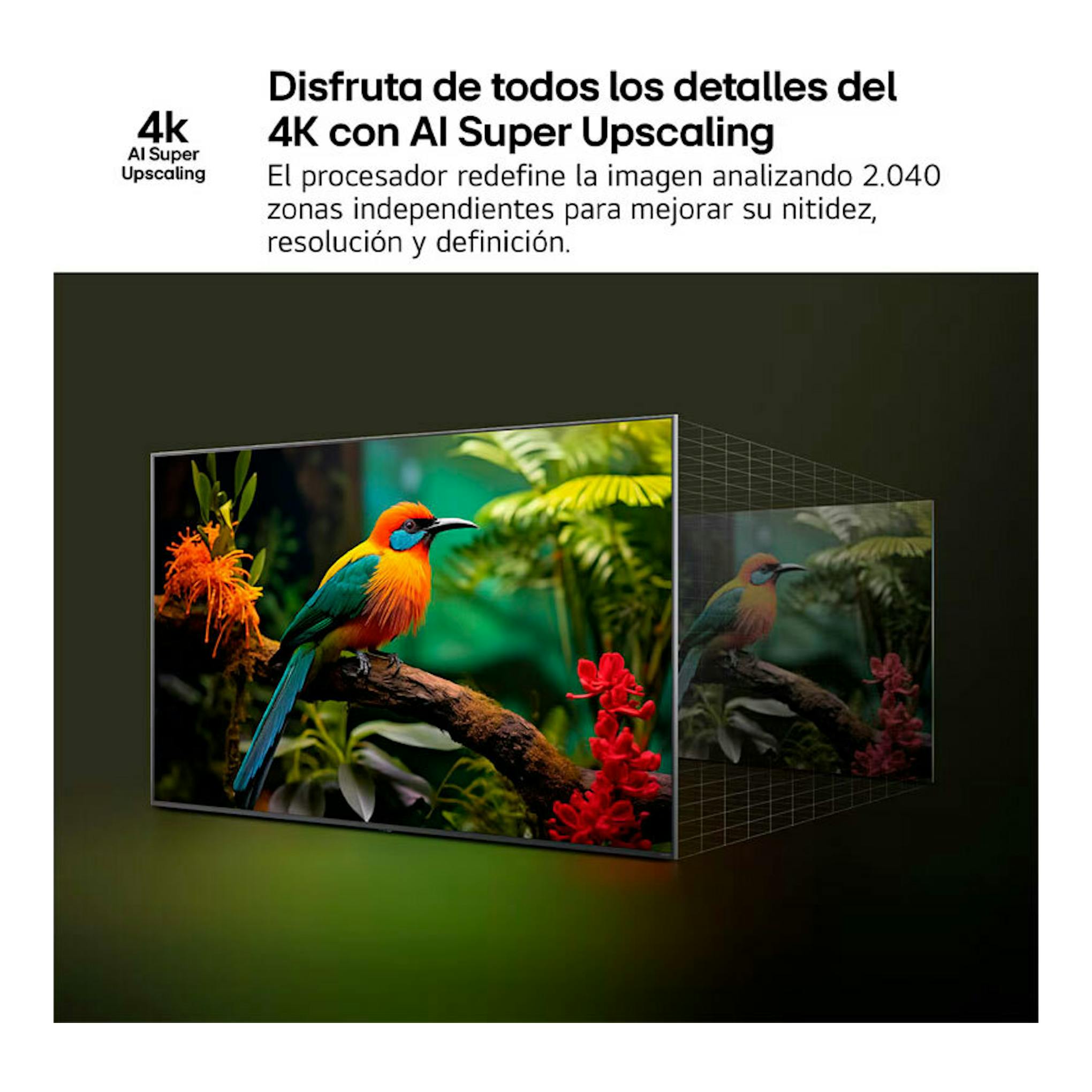 Gráfico de un televisor LG 55NANO81A6A con un pájaro y texto sobre 4K AI Super Upscaling.