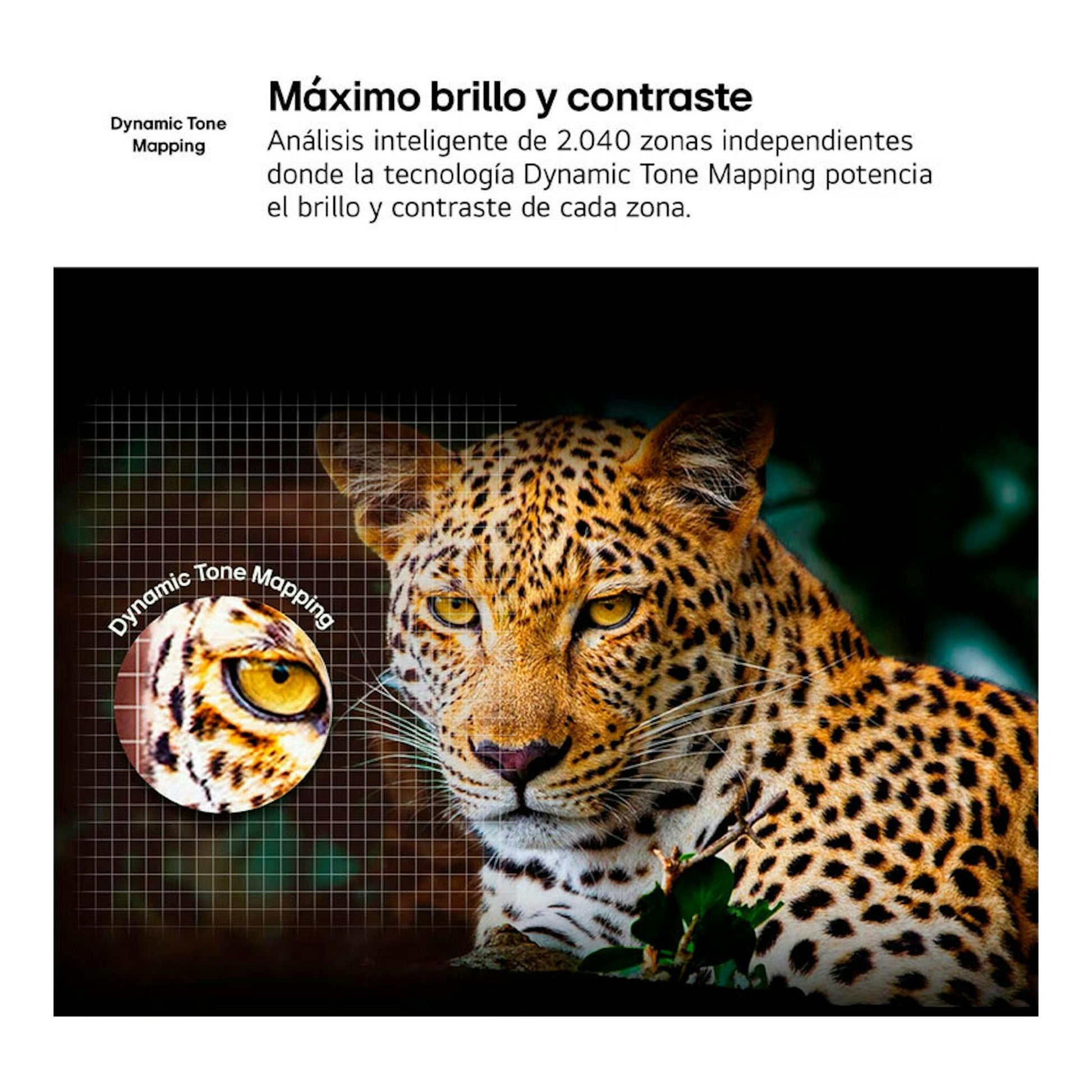LG 55UA75006LA: gráfico promocional con leopardo y texto sobre Dynamic Tone Mapping, brillo y contraste.