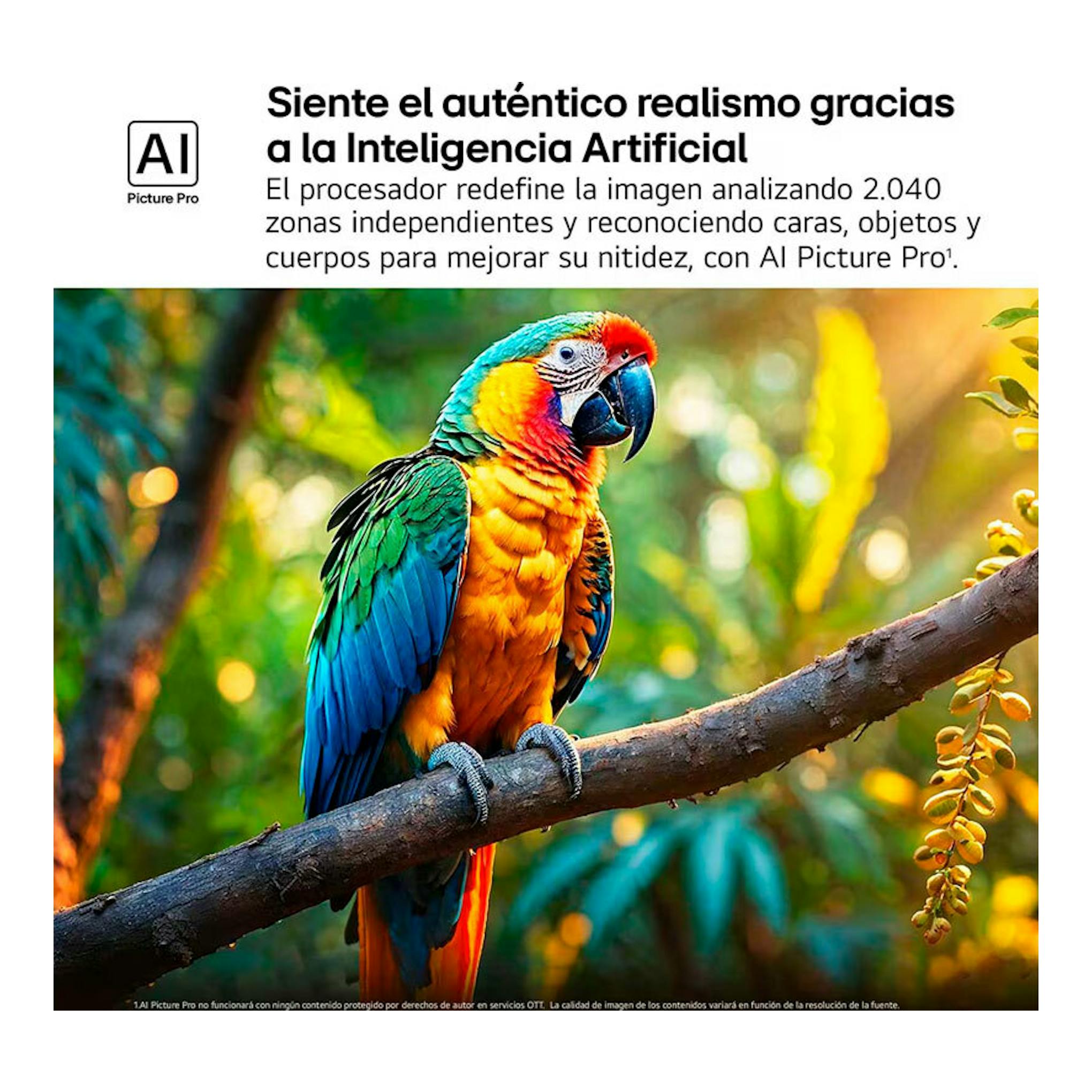 Anuncio de TV LG 86QNED86A6A con un loro multicolor sobre una rama y texto de AI Picture Pro.