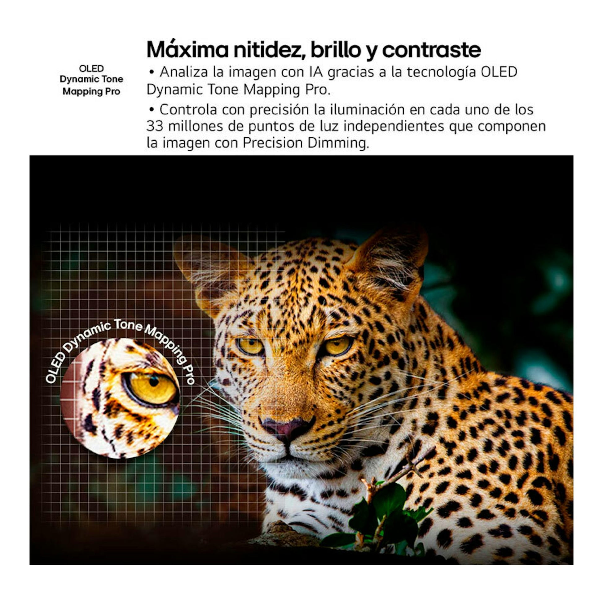 Gráfico de LG OLED65G54LW OLED Evo 4K con leopardo y texto sobre Dynamic Tone Mapping Pro.