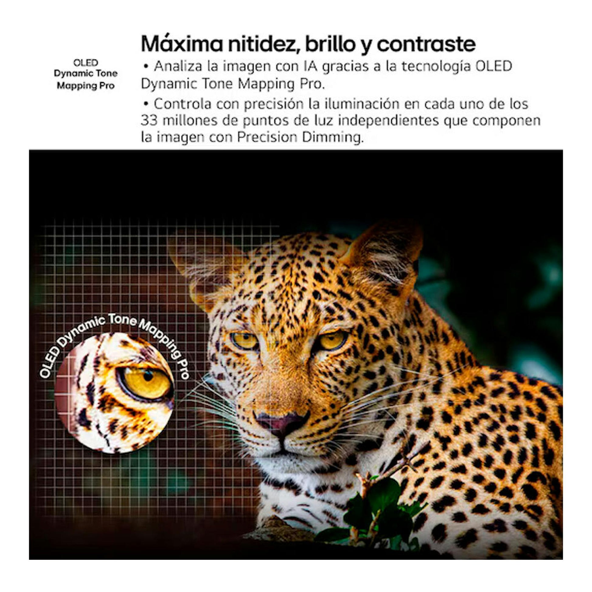 Gráfico promocional de LG OLED Dynamic Tone Mapping Pro con un leopardo y texto sobre nitidez y contraste.