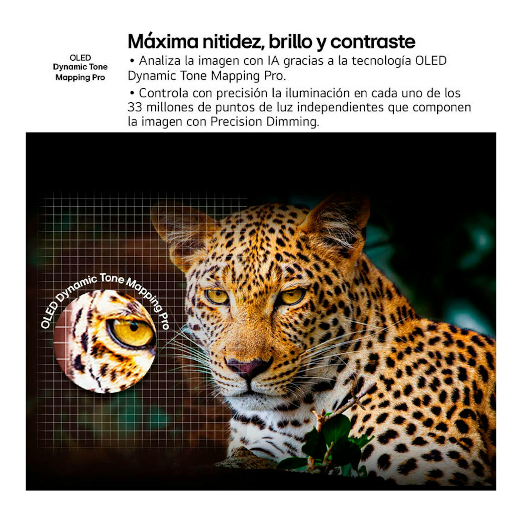 Gráfico promocional de LG OLED Dynamic Tone Mapping Pro con un leopardo en primer plano y texto sobre nitidez y contraste.