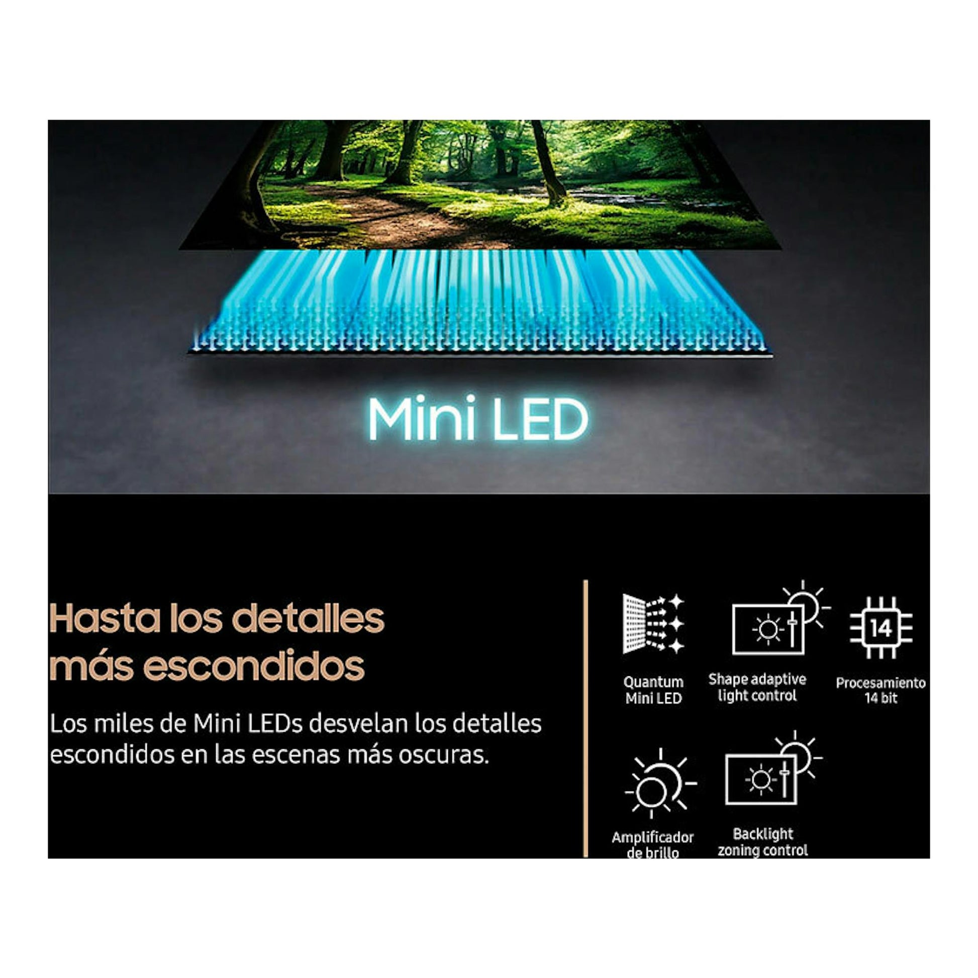 Samsung TQ55QN90FATXXC Neo QLED 4K con gráfico de Mini LED y texto en español sobre detalles ocultos.
