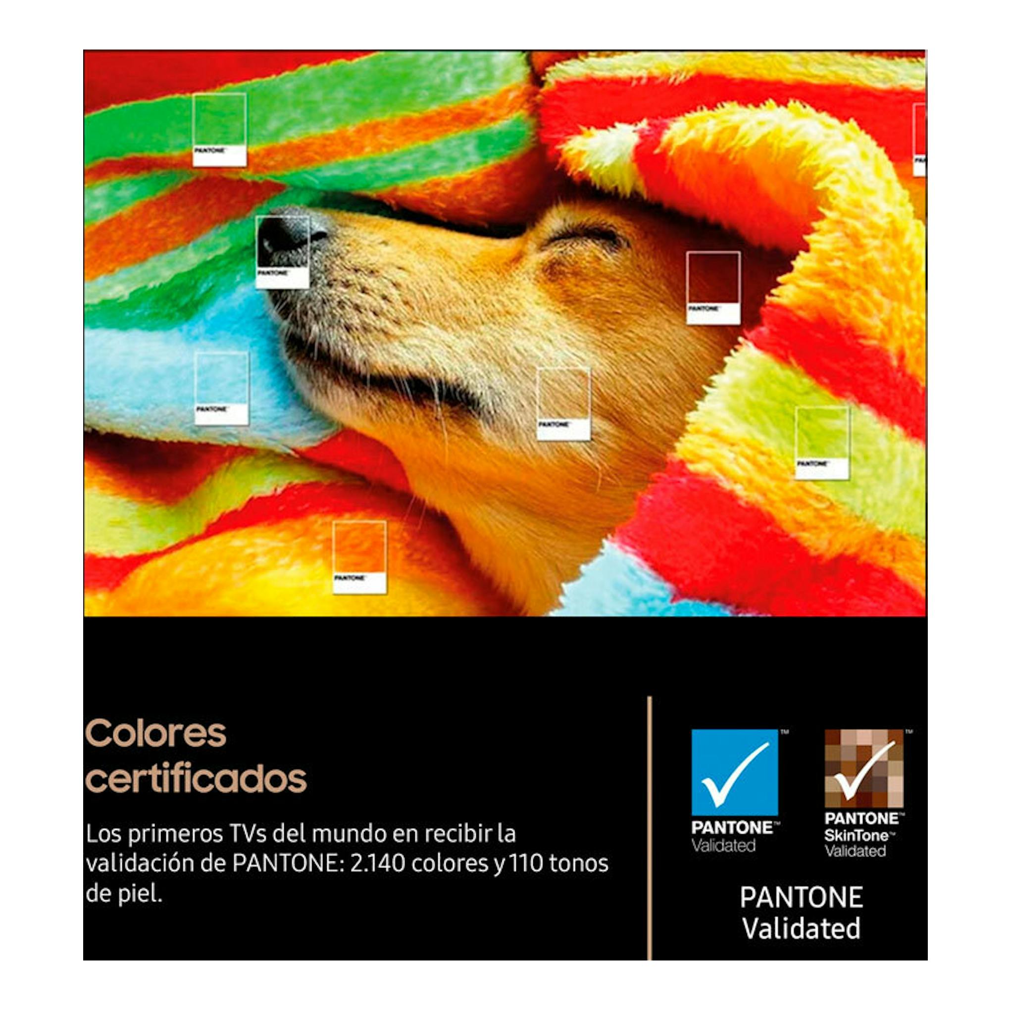 Samsung TQ65S85FAEXXC OLED 4K 65" mostrando un perro entre mantas de colores y el sello Pantone Validated