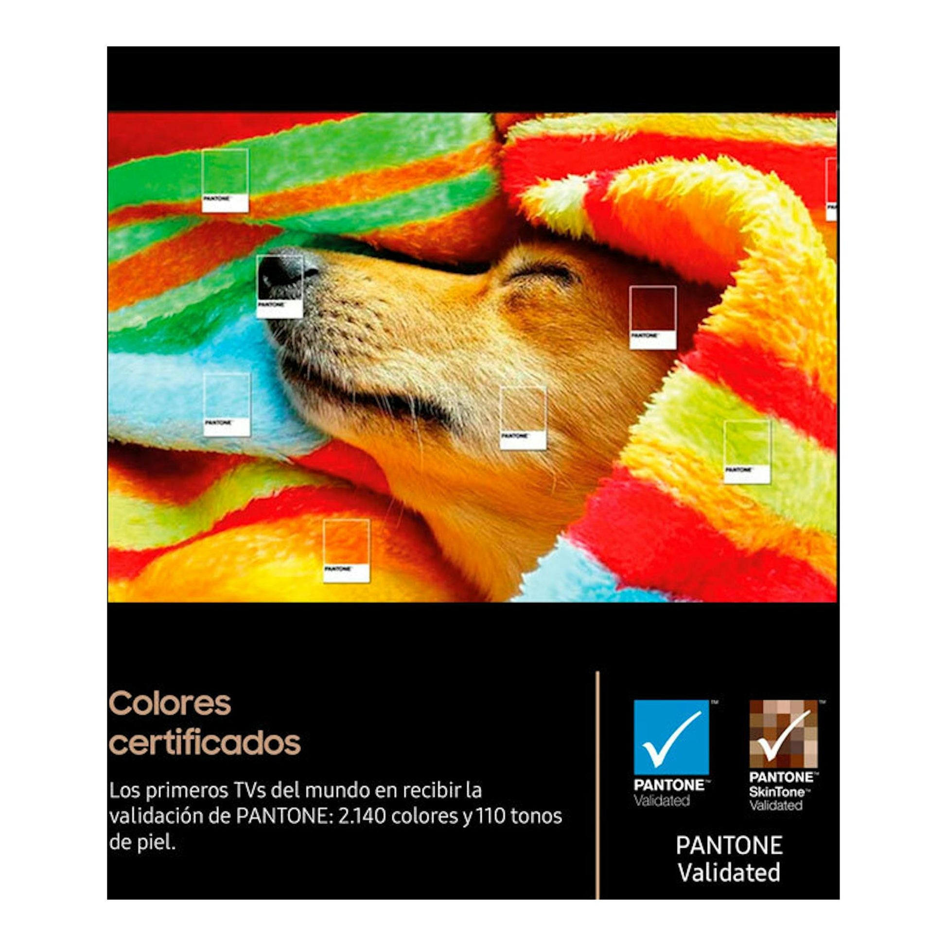 TV Samsung TQ65S90FATXXC OLED 4K 65" en vista frontal, con perro bajo una manta y logos Pantone Validated.