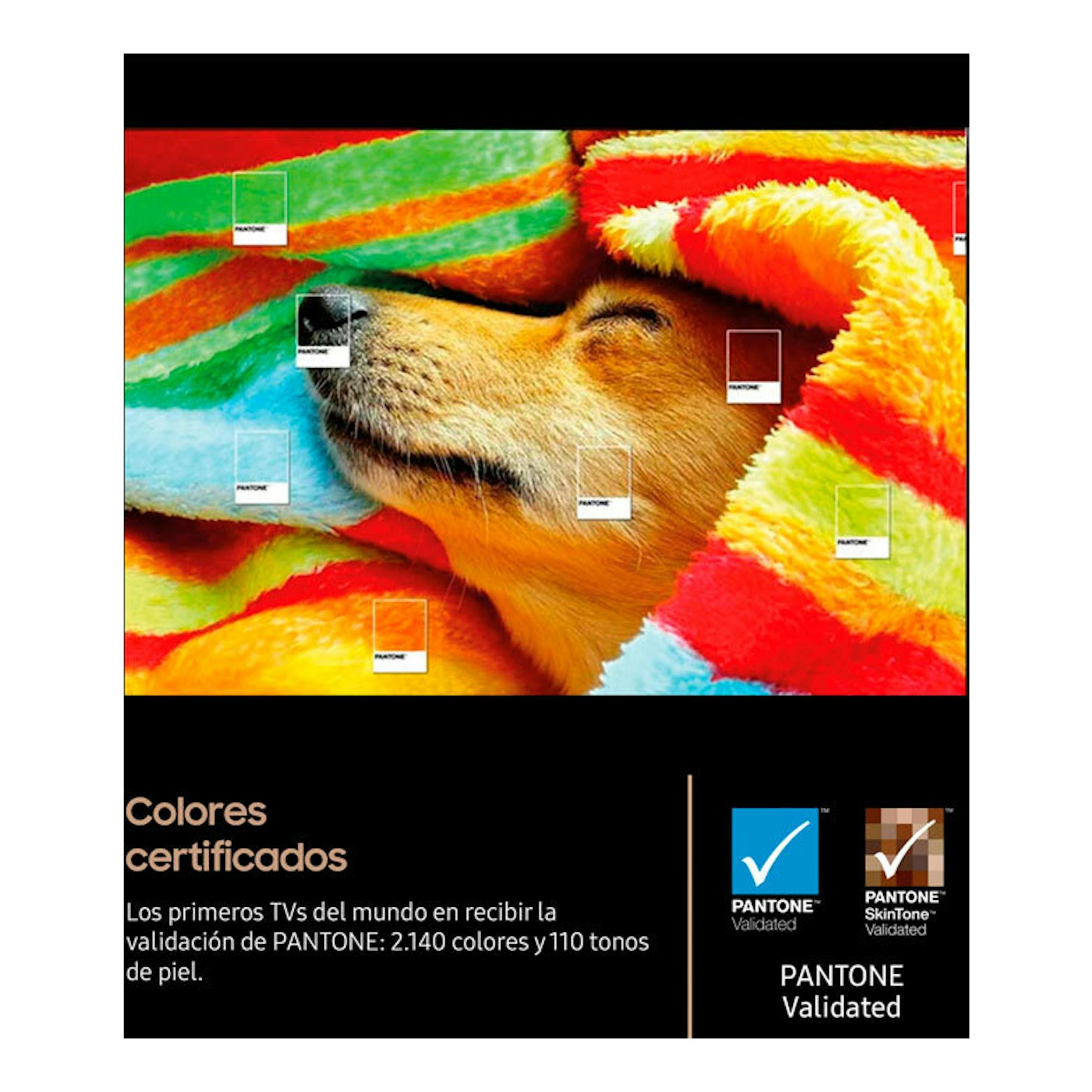 TV Samsung TQ65S90FATXXC OLED 4K 65" en vista frontal, con perro bajo una manta y logos Pantone Validated.