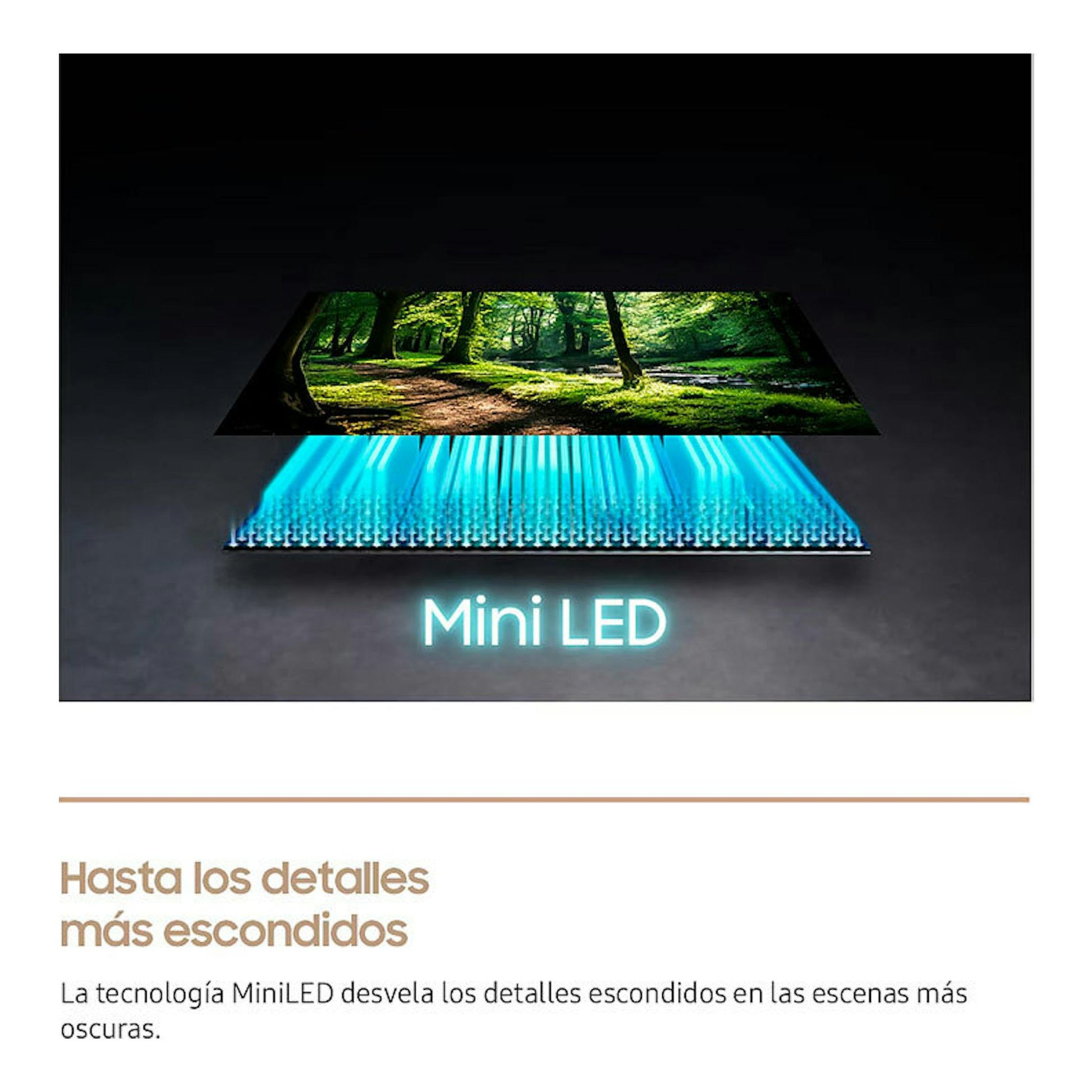 Samsung TQ75LS03FWUXXC: gráfico de Mini LED con pantalla en perspectiva y luces azules; texto "Hasta los detalles".